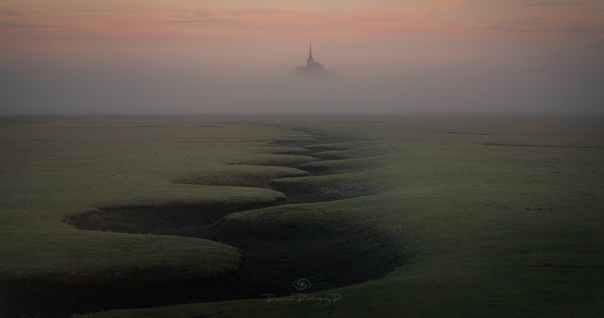 Growing behind the fog