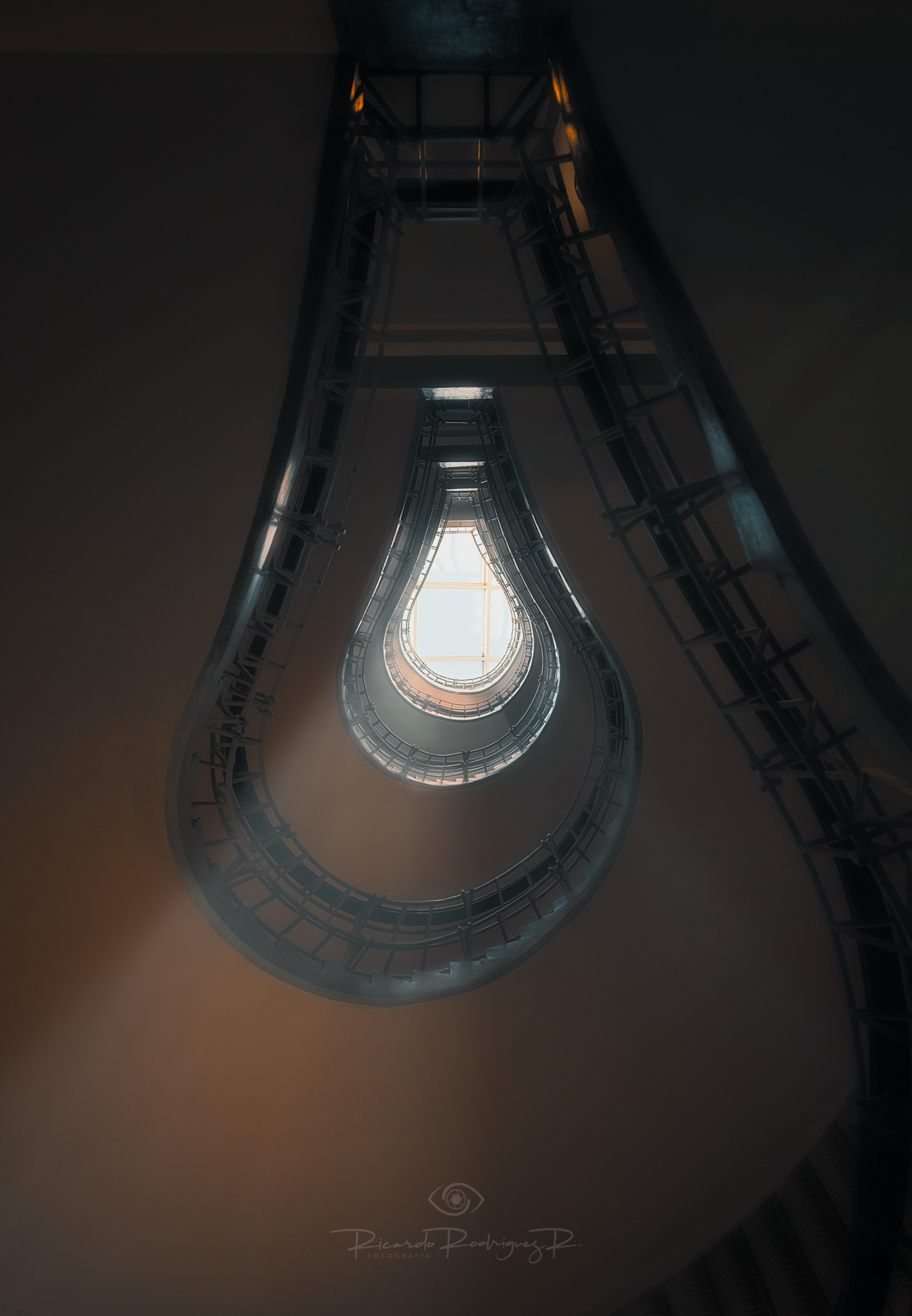 The Bulb