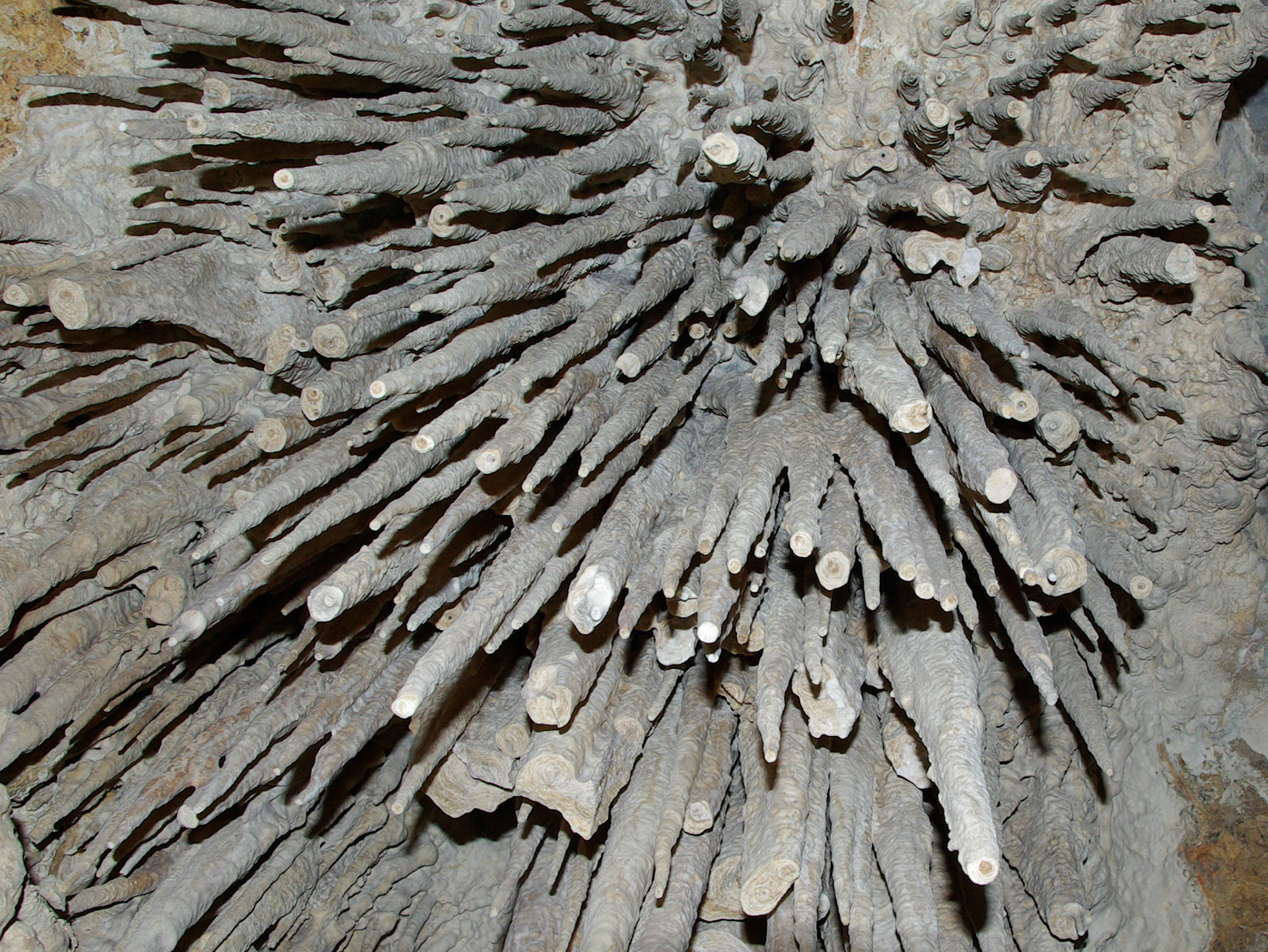 Inside the Cave: Everything Coming At Me