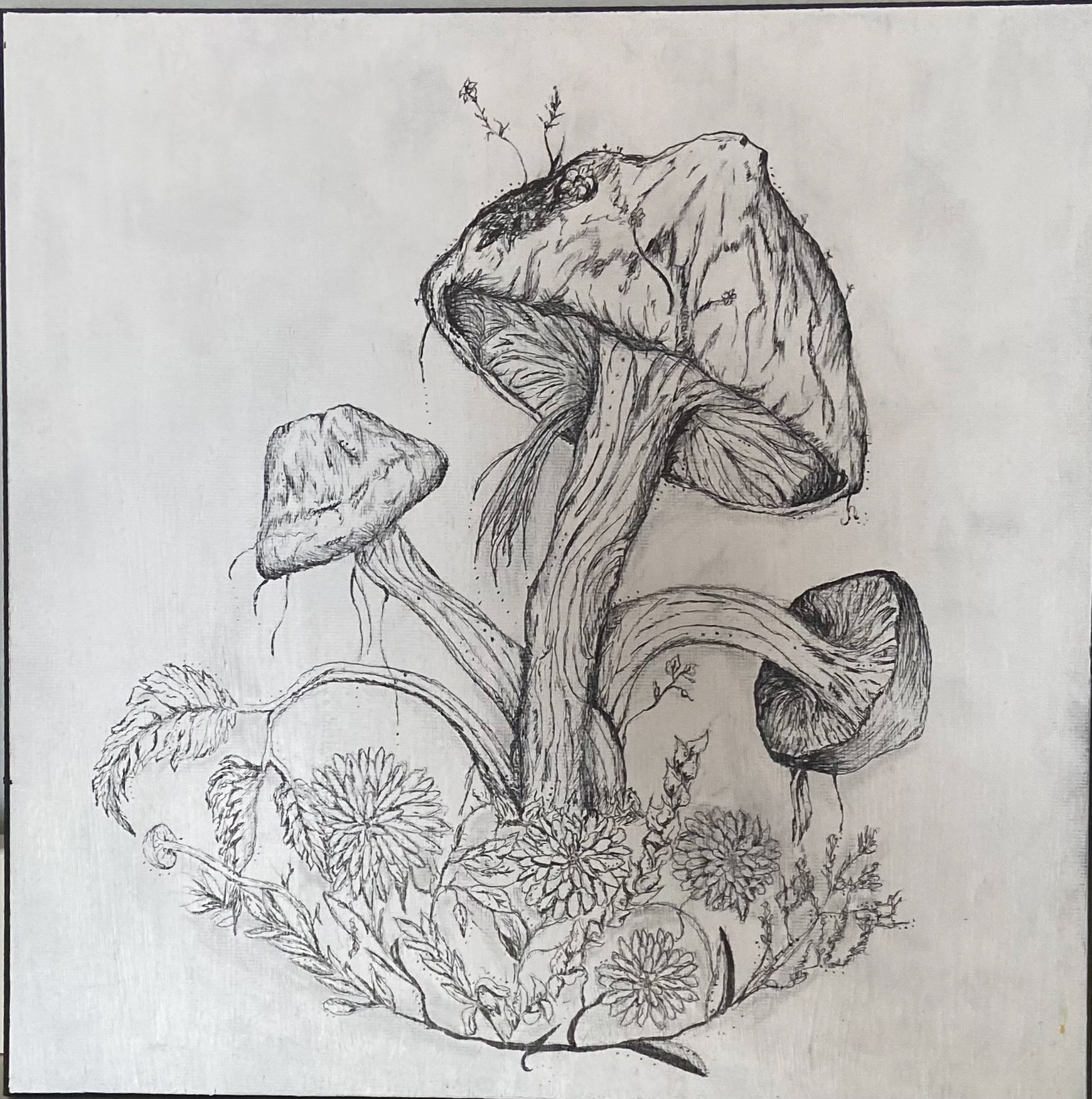 mushrooms on wood panel