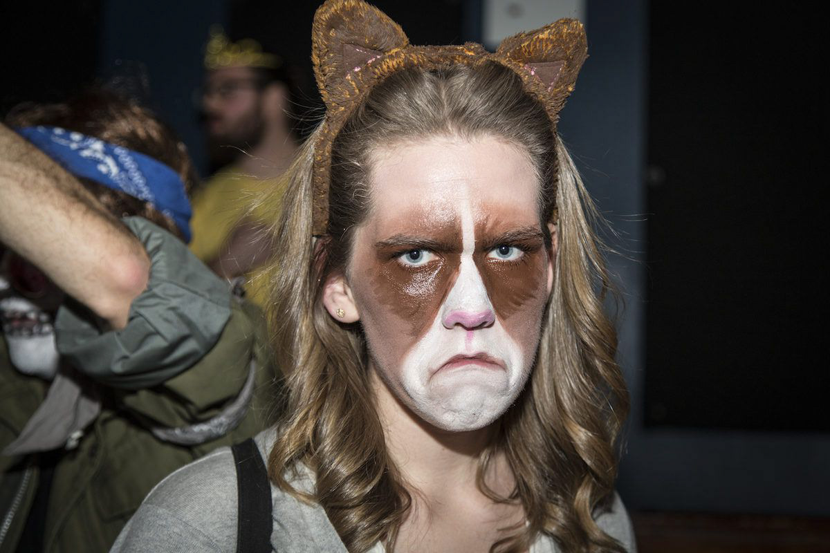 Grumpy Cat