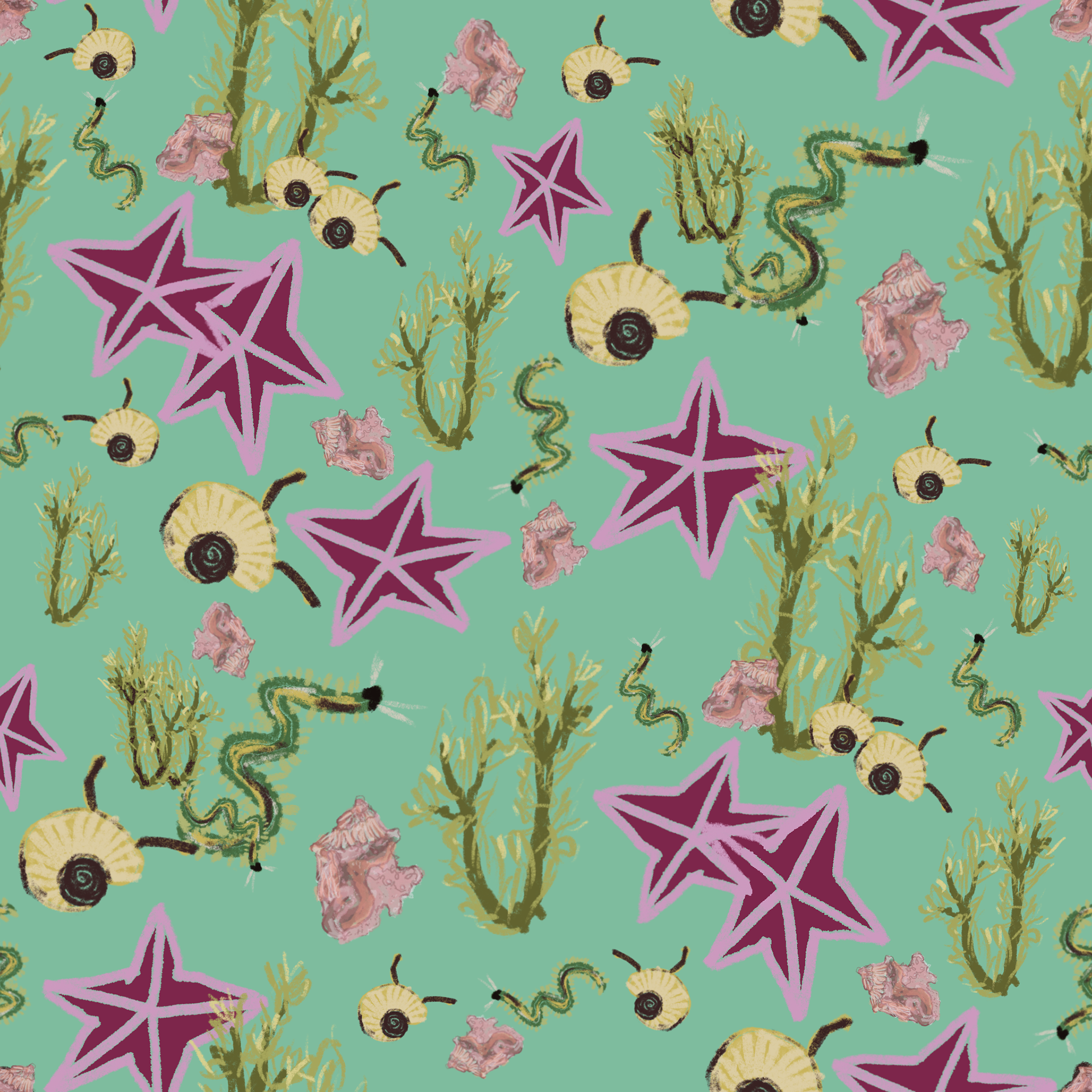 Tide Pool Creatures (289)