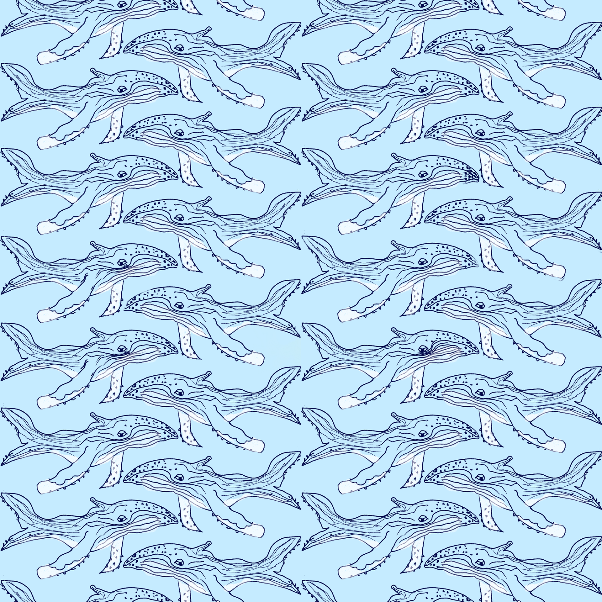 Whale Swim, Light (JA279)
