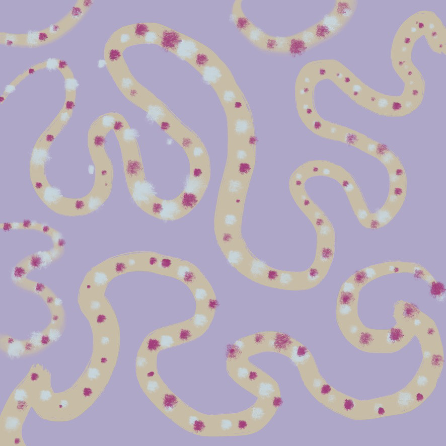 Sea Snakes, Lavender (JA74)