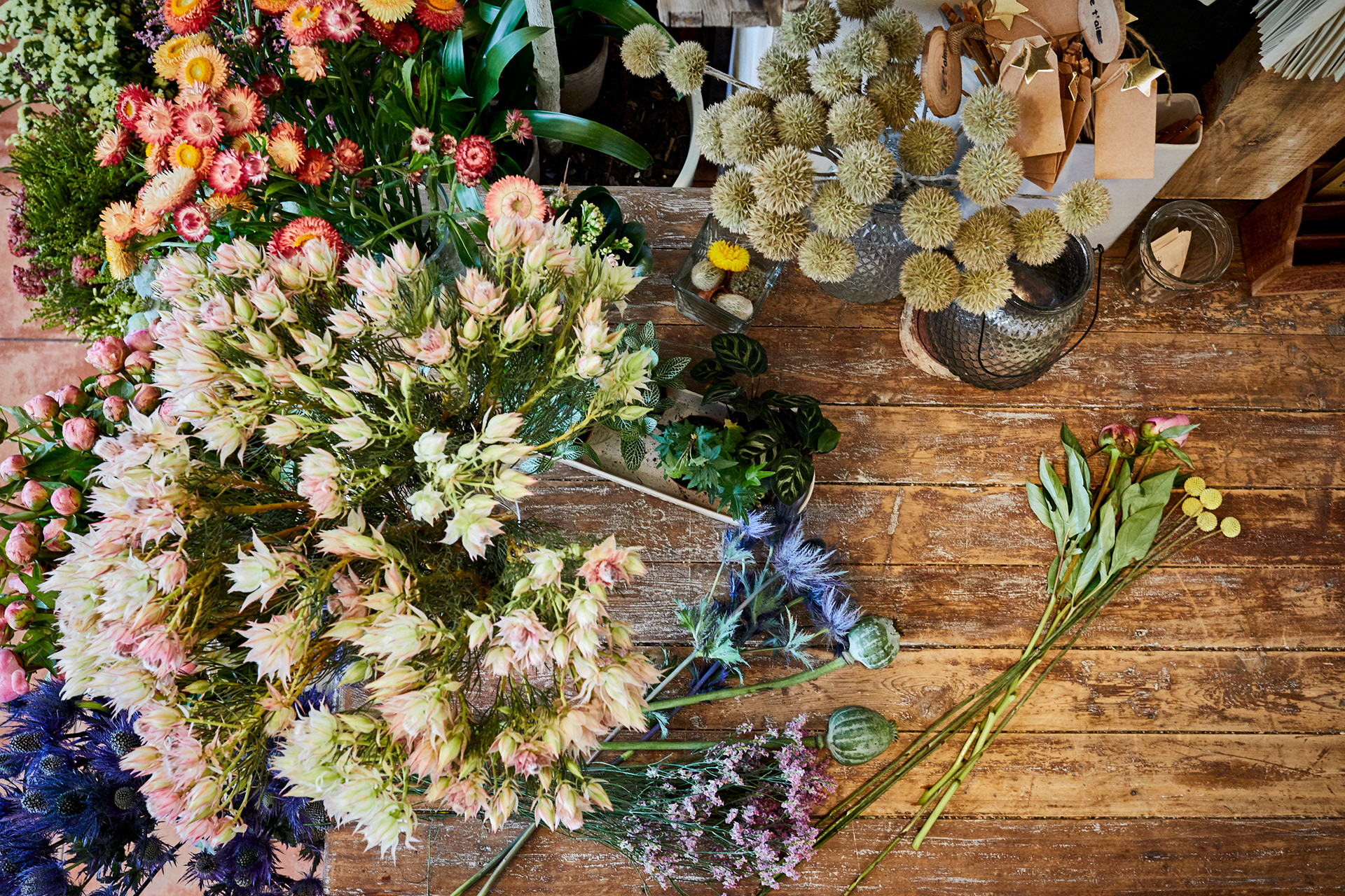 professional photo shoot for social networks, Yuka Florist