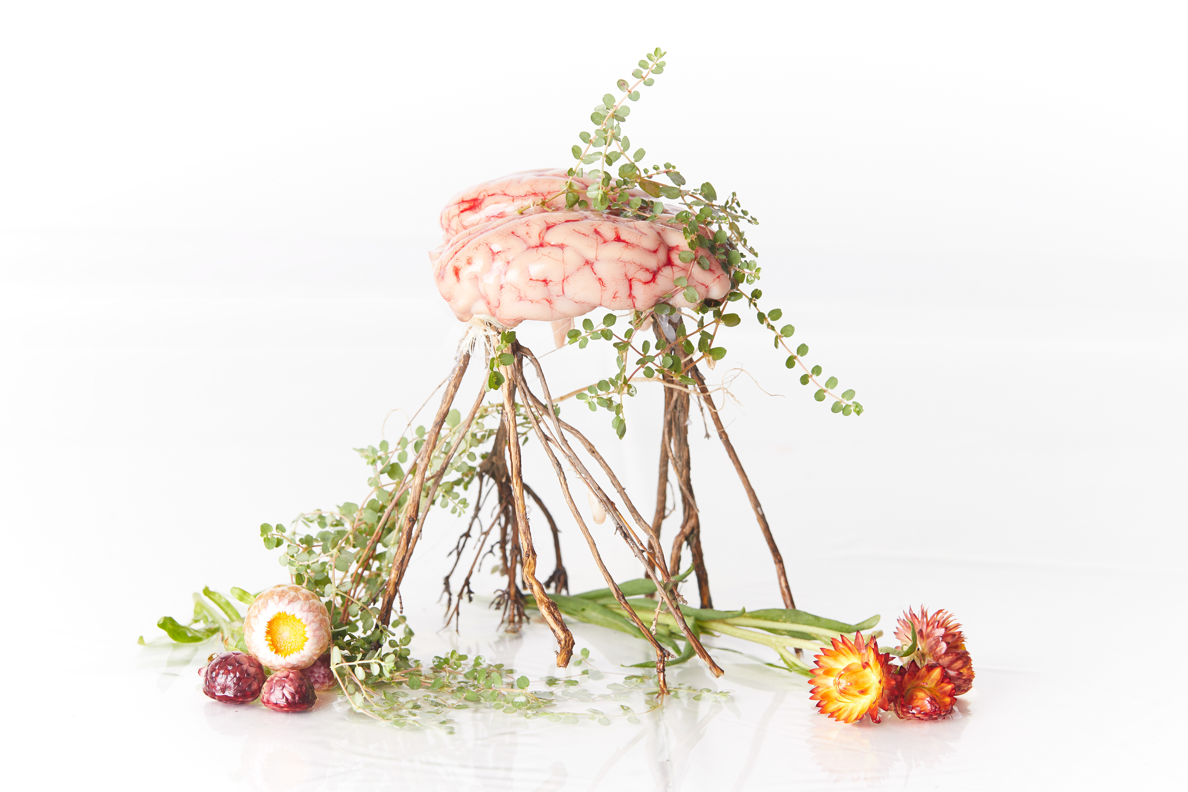 Photography, Advertising, gastronomy, still life, catalog, product,  Photographers Madrid, personal project, conceptual art,