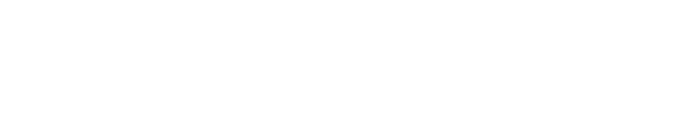 ANTLION ENTERPRISE