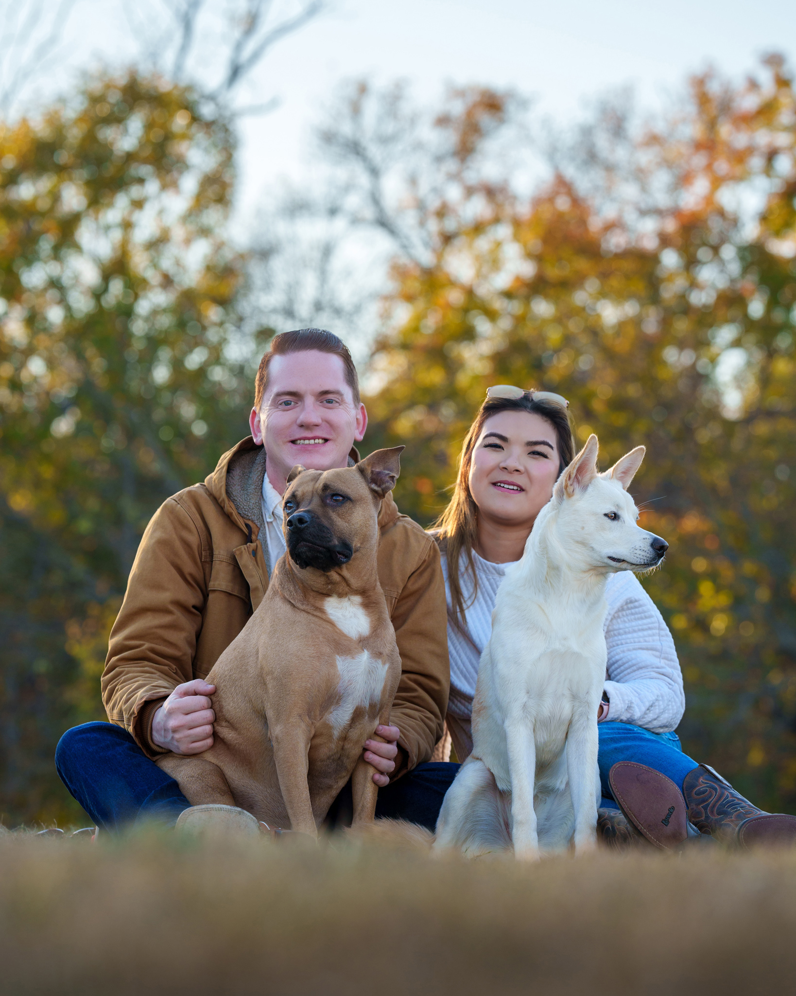 Dog, pet, photography, Dallas, North Dallas, Frisco, Plano, Allen, Richardson, Mckinney