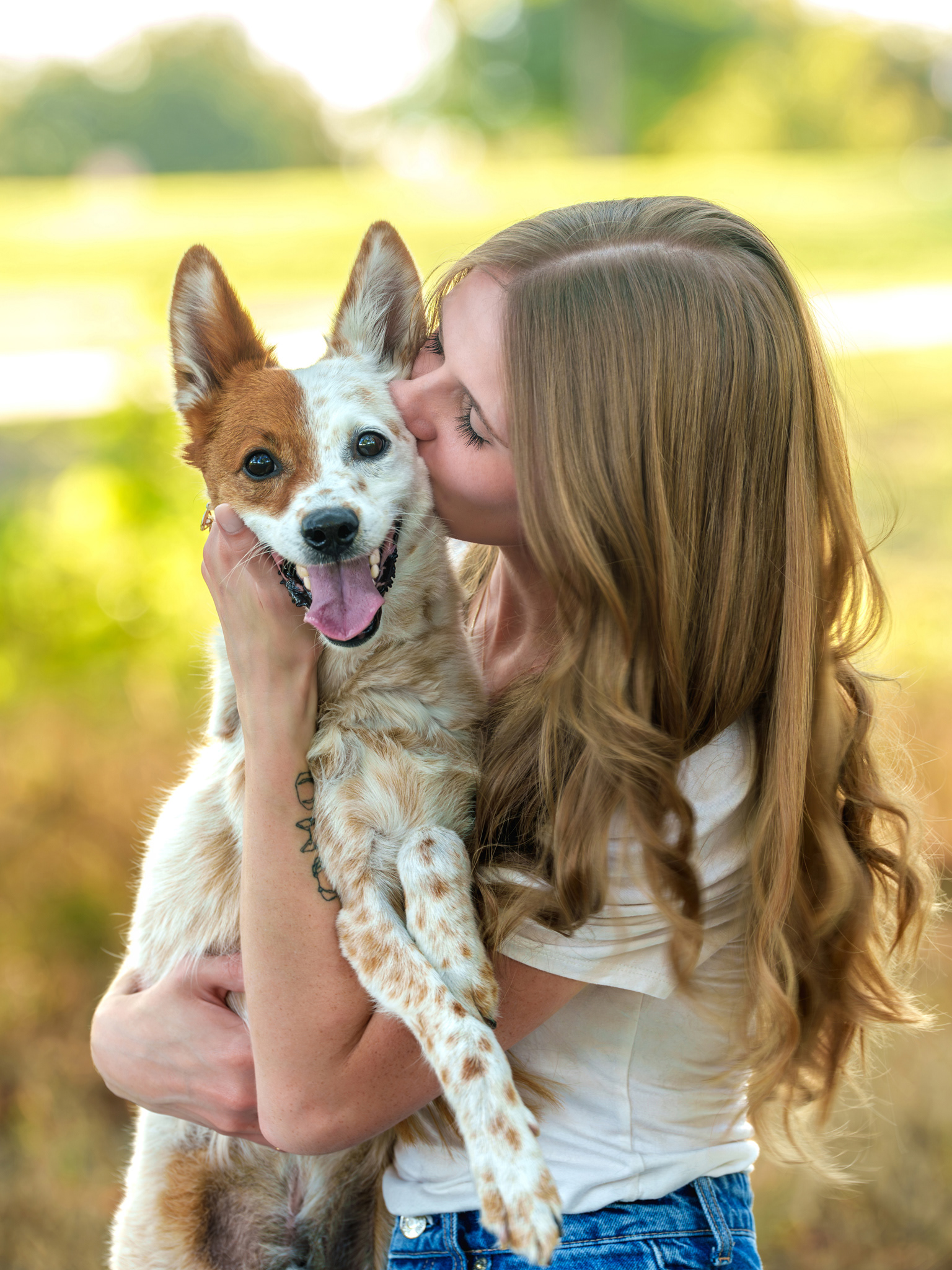 Dog, pet, photography, Dallas, North Dallas, Frisco, Plano, Allen, Richardson, Mckinney