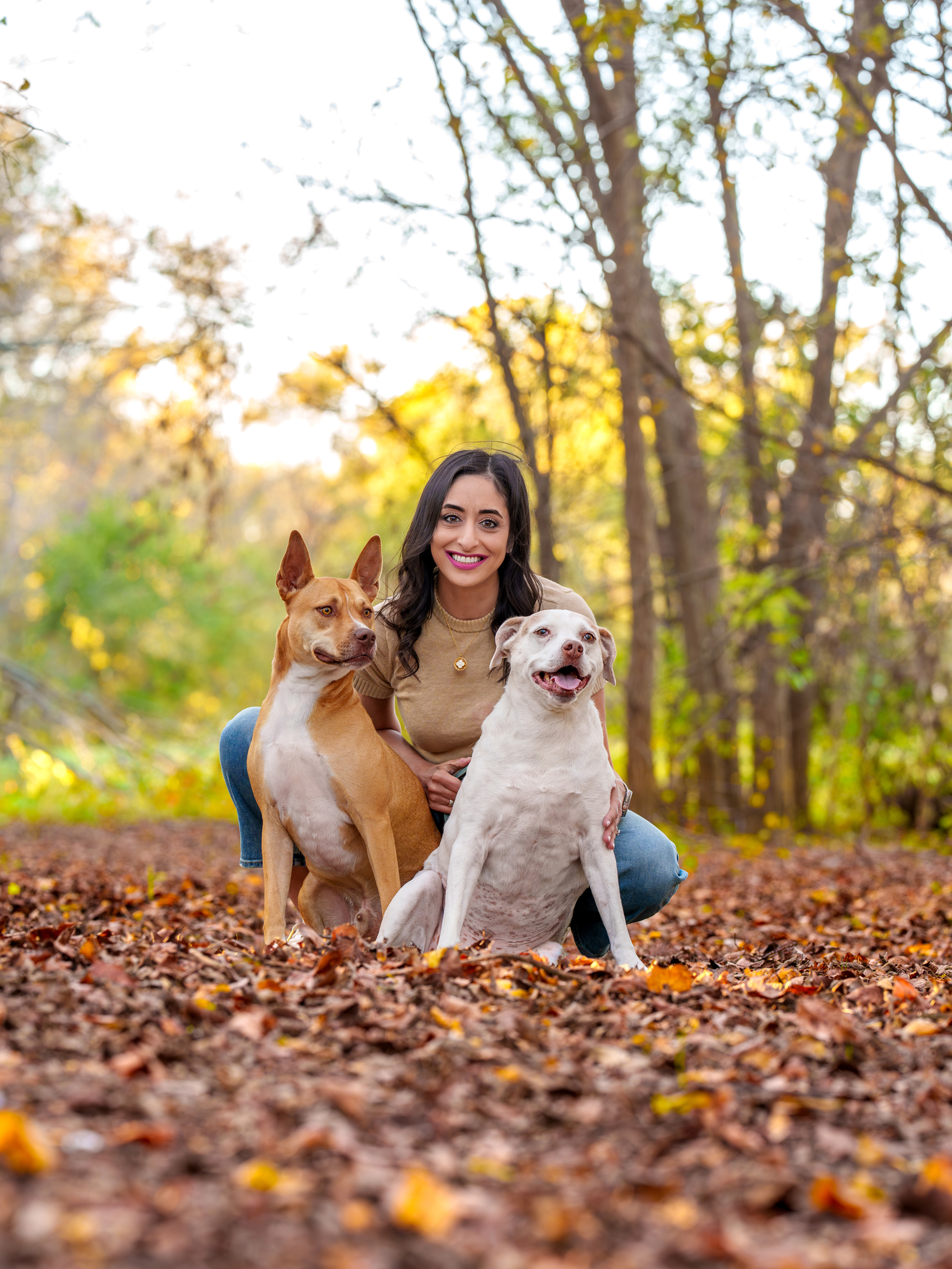 Dog, pet, photography, Dallas, North Dallas, Frisco, Plano, Allen, Richardson, Mckinney