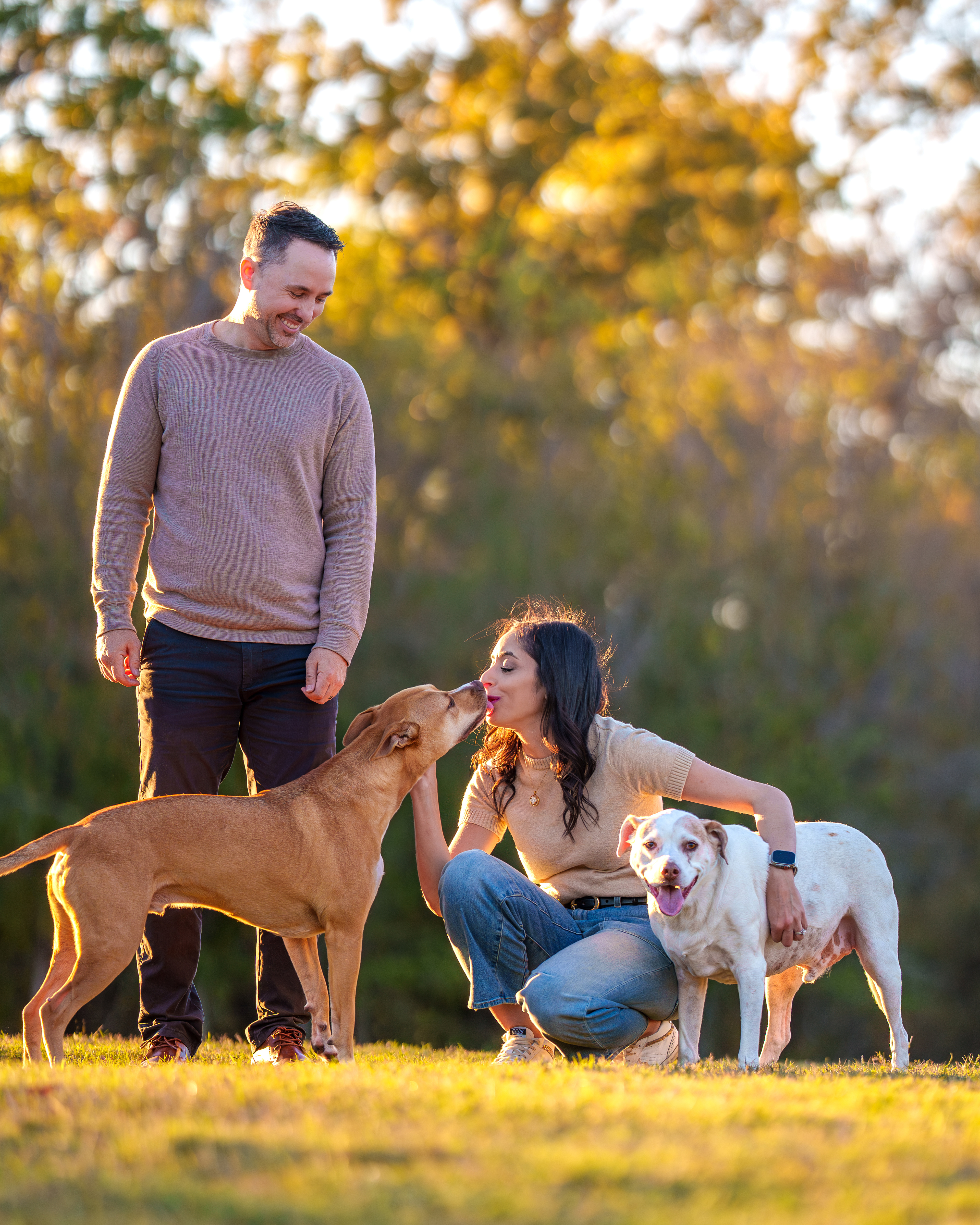 Dog, pet, photography, Dallas, North Dallas, Frisco, Plano, Allen, Richardson, Mckinney