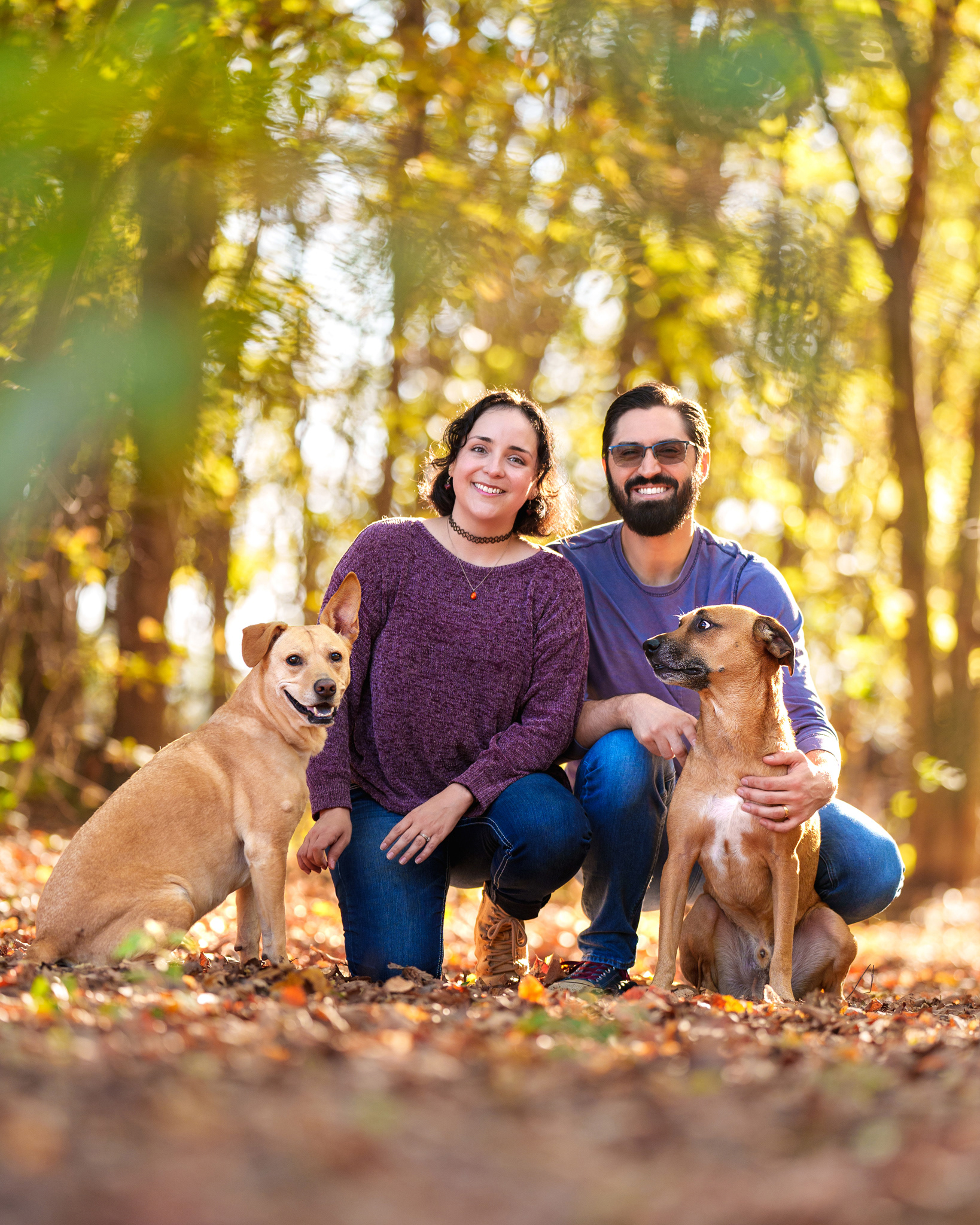 Dog, pet, photography, Dallas, North Dallas, Frisco, Plano, Allen, Richardson, Mckinney