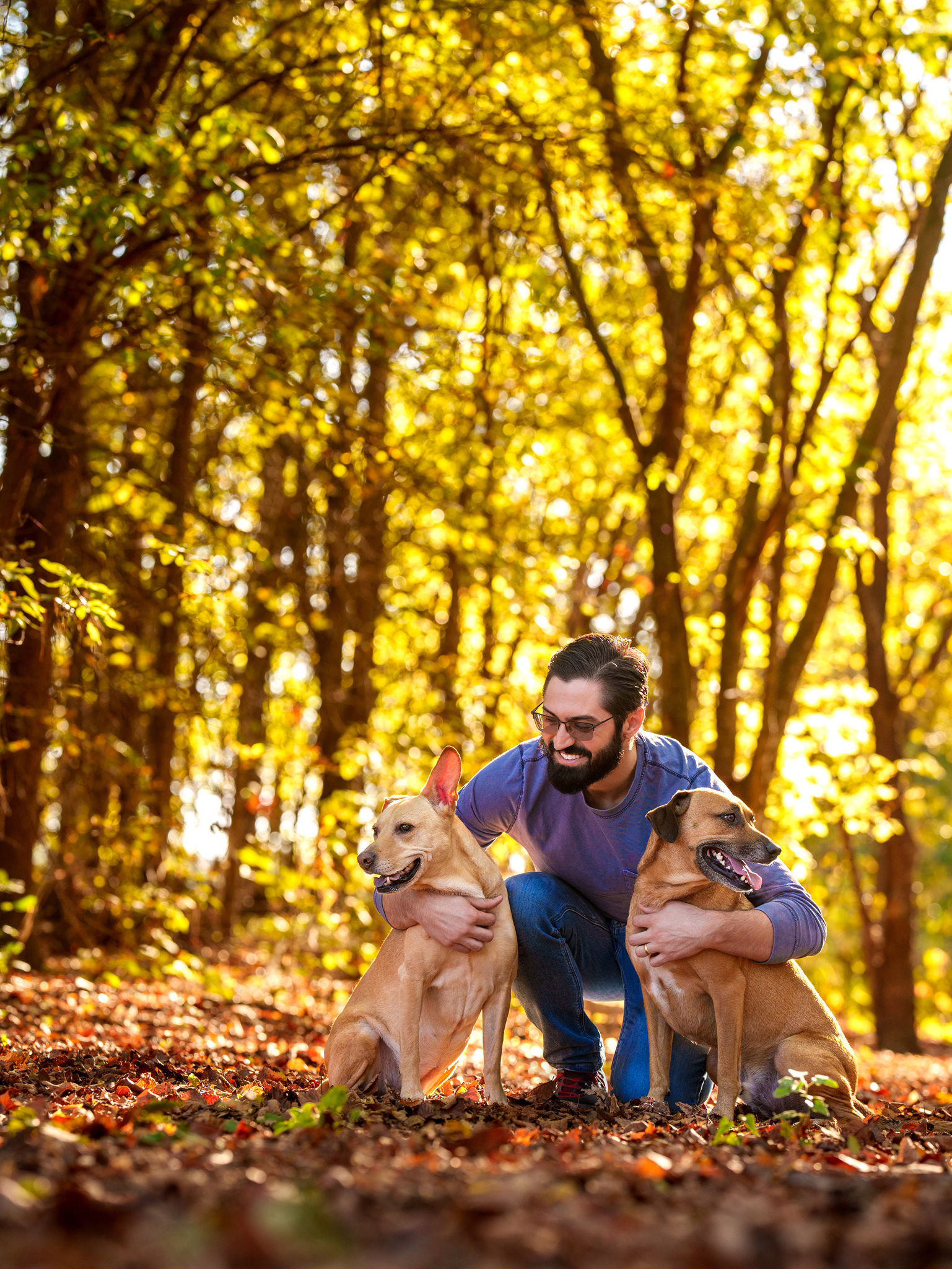 Dog, pet, photography, Dallas, North Dallas, Frisco, Plano, Allen, Richardson, Mckinney