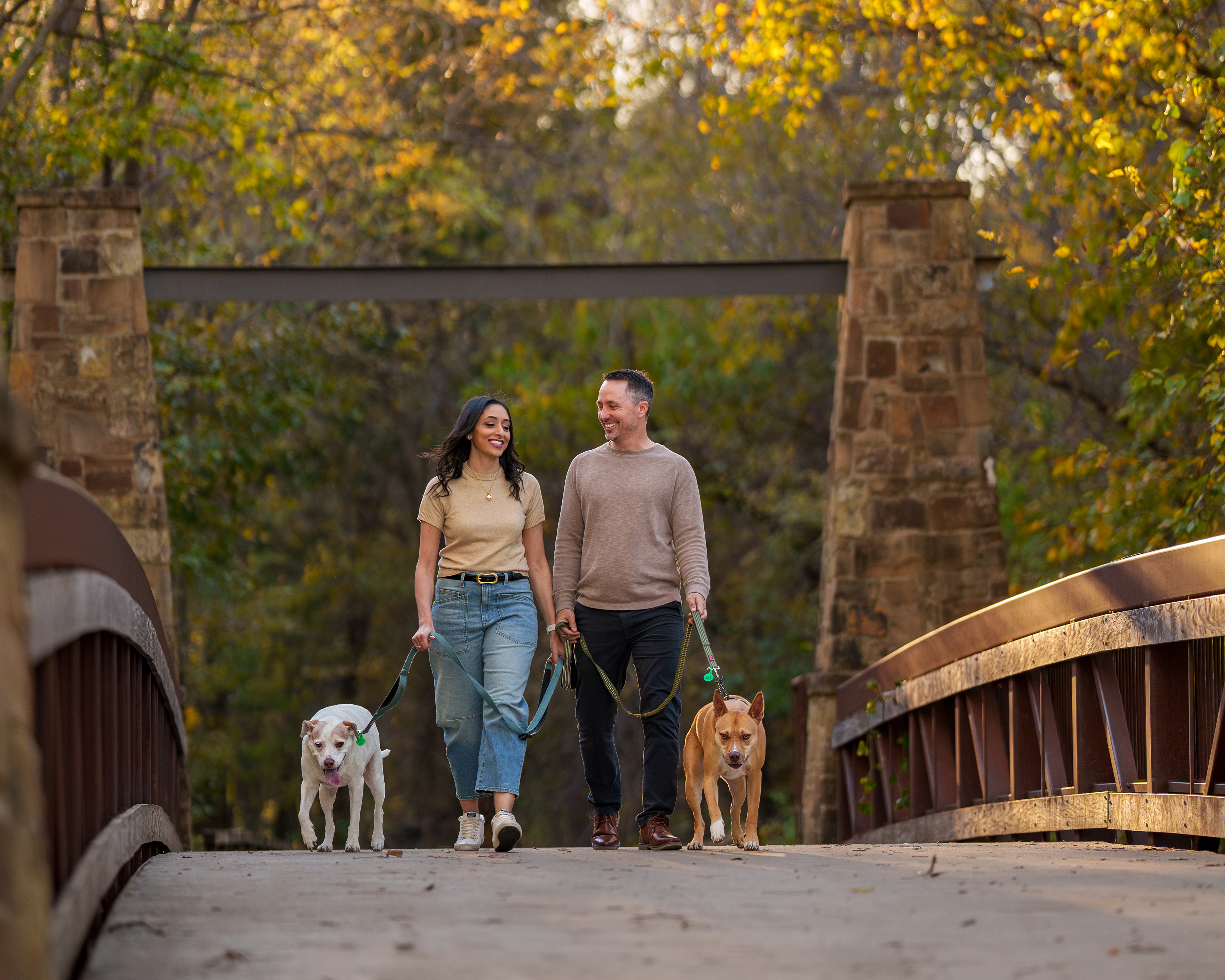 Dog, pet, photography, Dallas, North Dallas, Frisco, Plano, Allen, Richardson, Mckinney