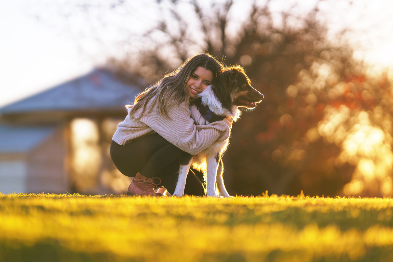 Dog, pet, photography, Dallas, North Dallas, Frisco, Plano, Allen, Richardson, Mckinney