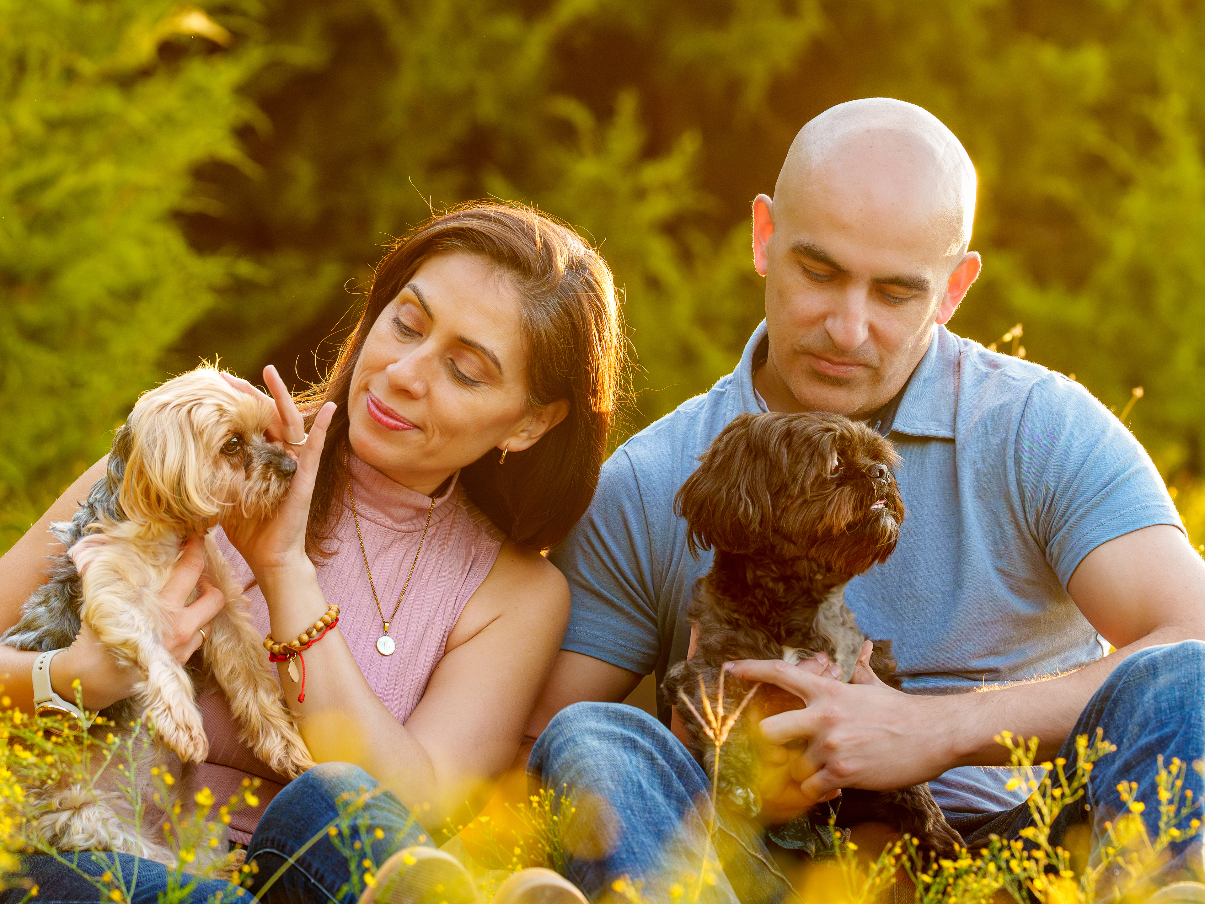 Dog, pet, photography, Dallas, North Dallas, Frisco, Plano, Allen, Richardson, Mckinney