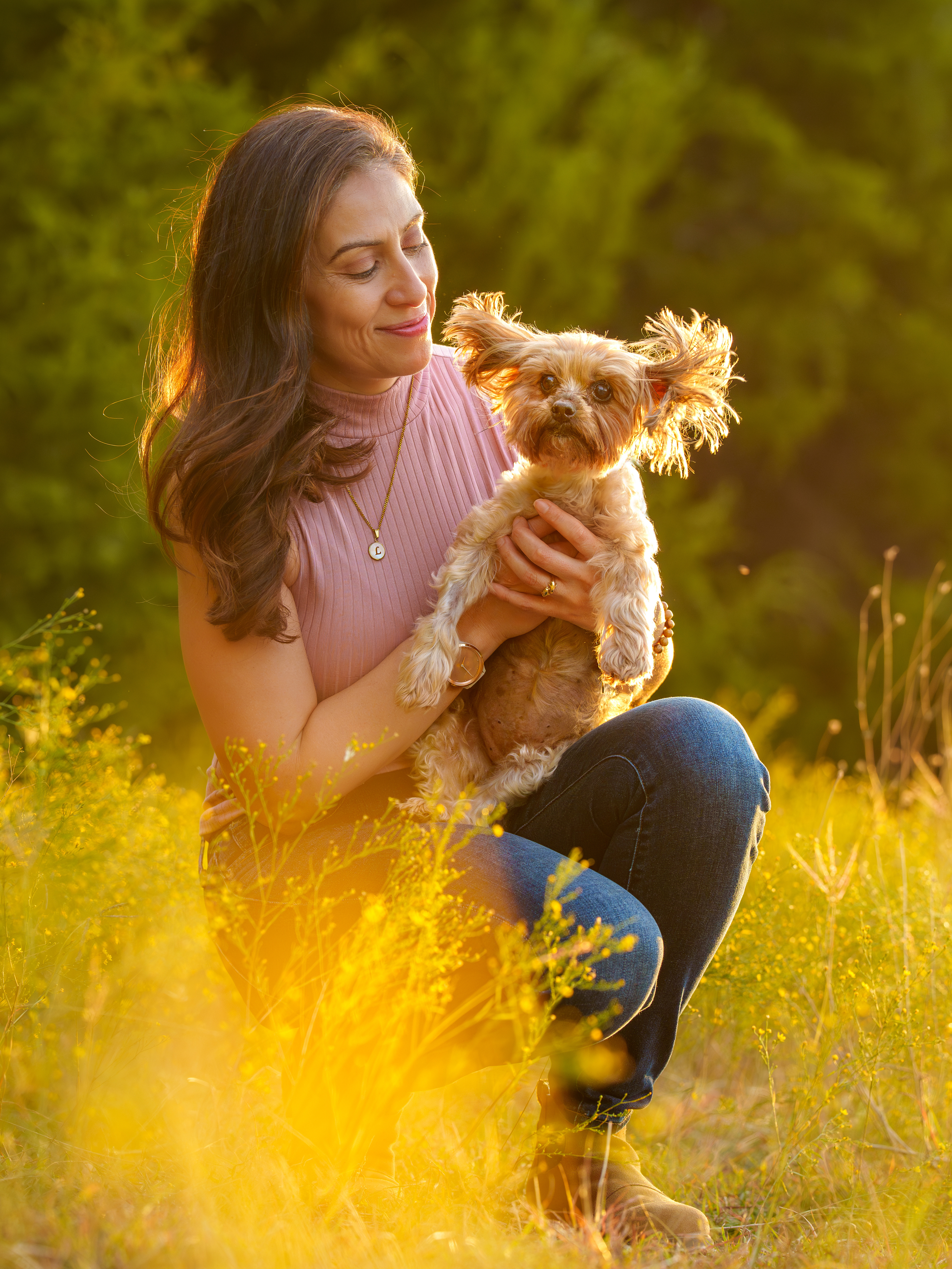 Dog, pet, photography, Dallas, North Dallas, Frisco, Plano, Allen, Richardson, Mckinney