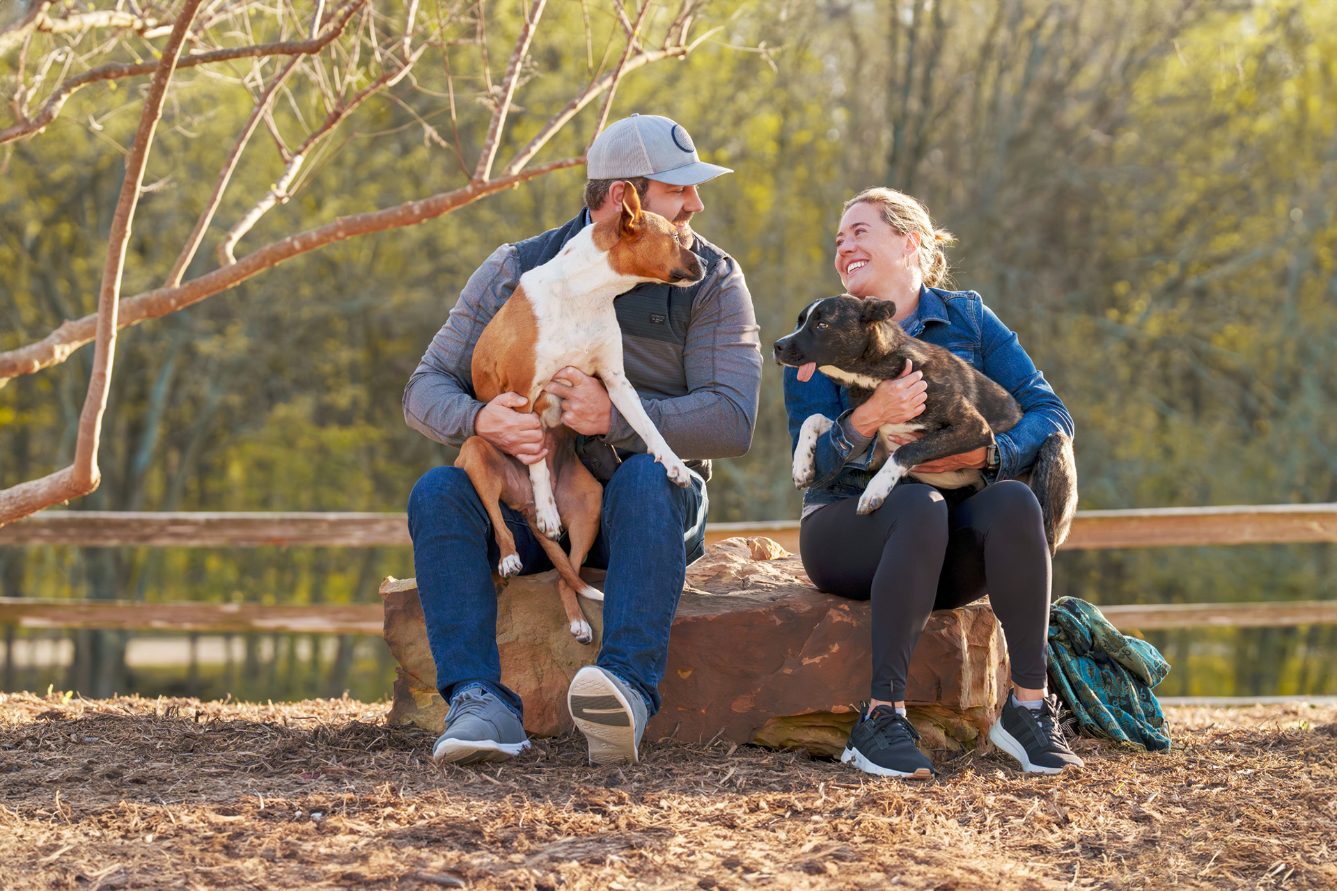 Dog, pet, photography, Dallas, North Dallas, Frisco, Plano, Allen, Richardson, Mckinney