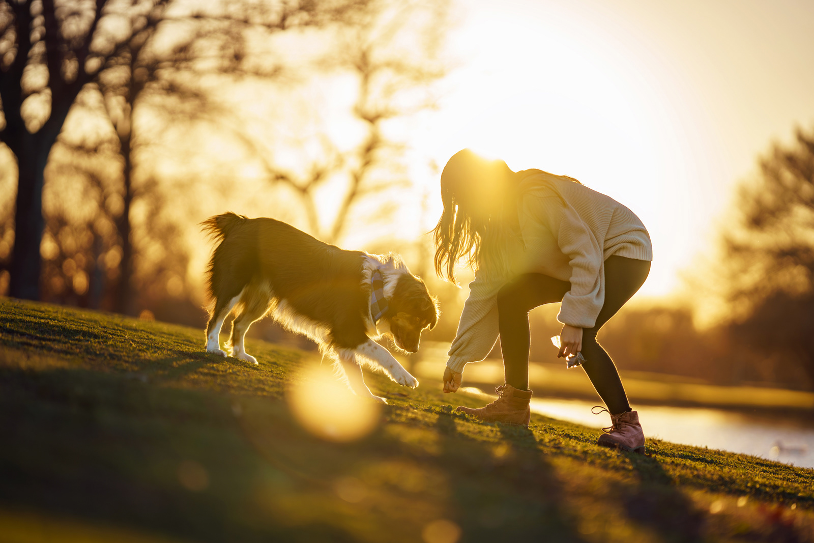 Dog, pet, photography, Dallas, North Dallas, Frisco, Plano, Allen, Richardson, Mckinney