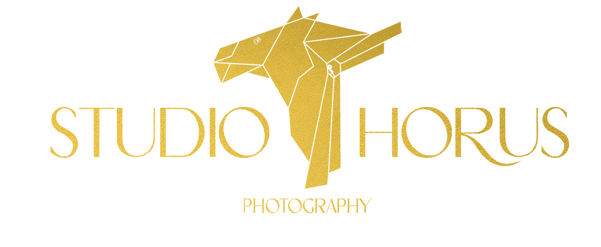 Studio Horus