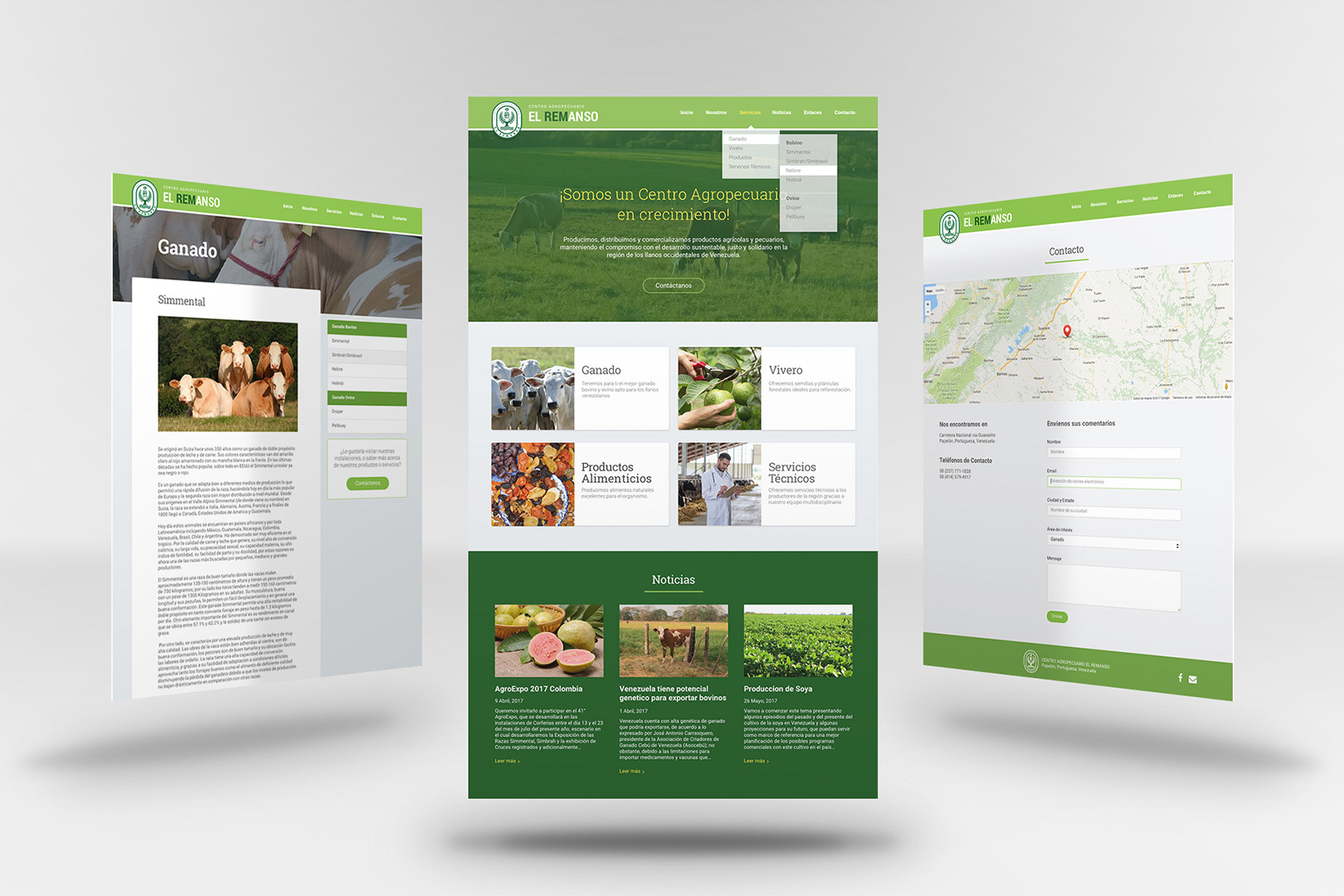 Paginas de inicio, Single y Contacto del sitio web Centro el Remanso. Diseño UI: Leo Pecina