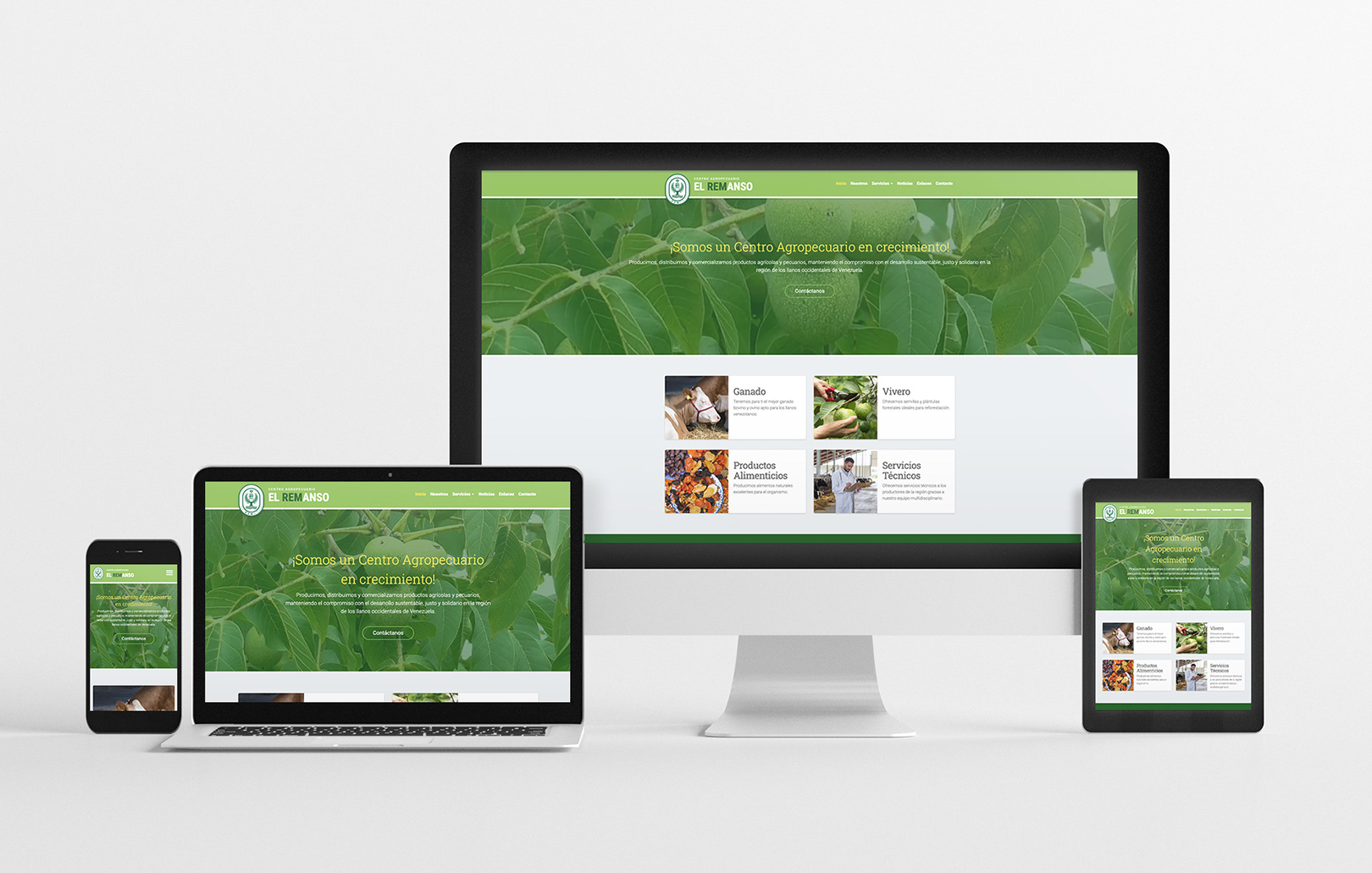 Responsive Design. Adaptación de Sitio Web a computadora de escritorio, portátil, tablet y teléfono inteligente. Diseño UI: Leo Pecina