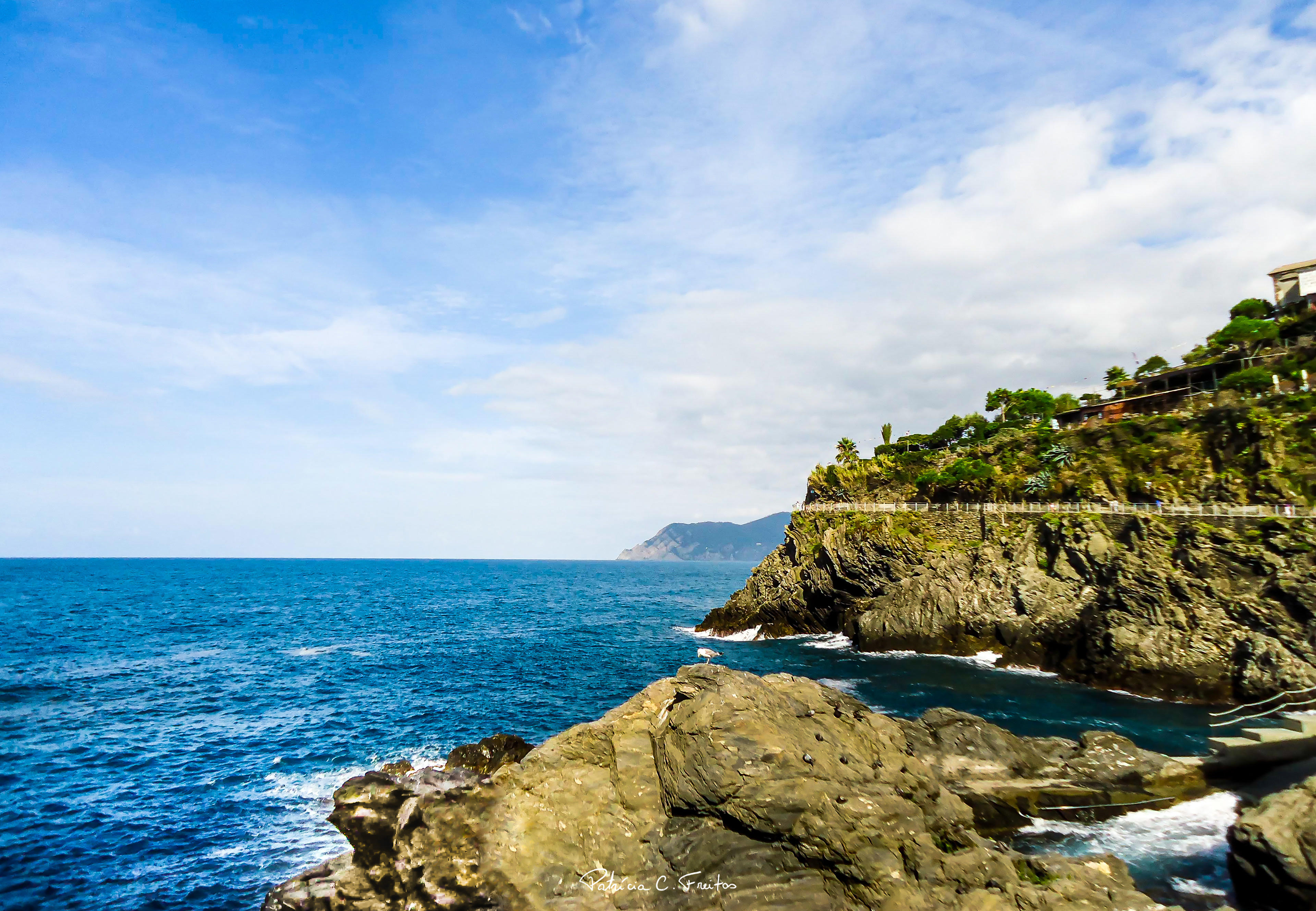 Vista do Mediterrâneo - Cinque Terre, Itália - 2014