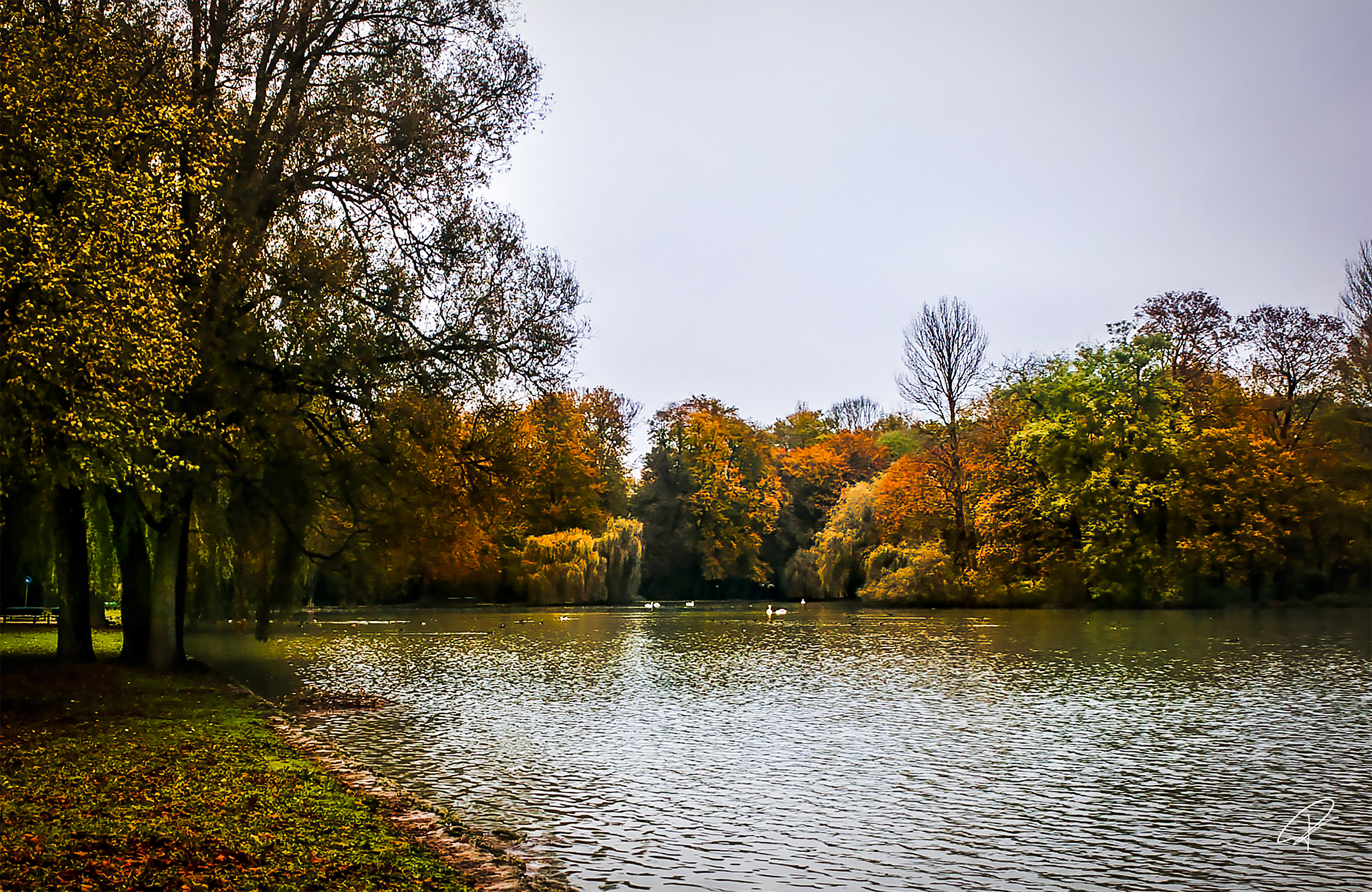 Outono em English Garten - Munique, Alemanha - 2014
