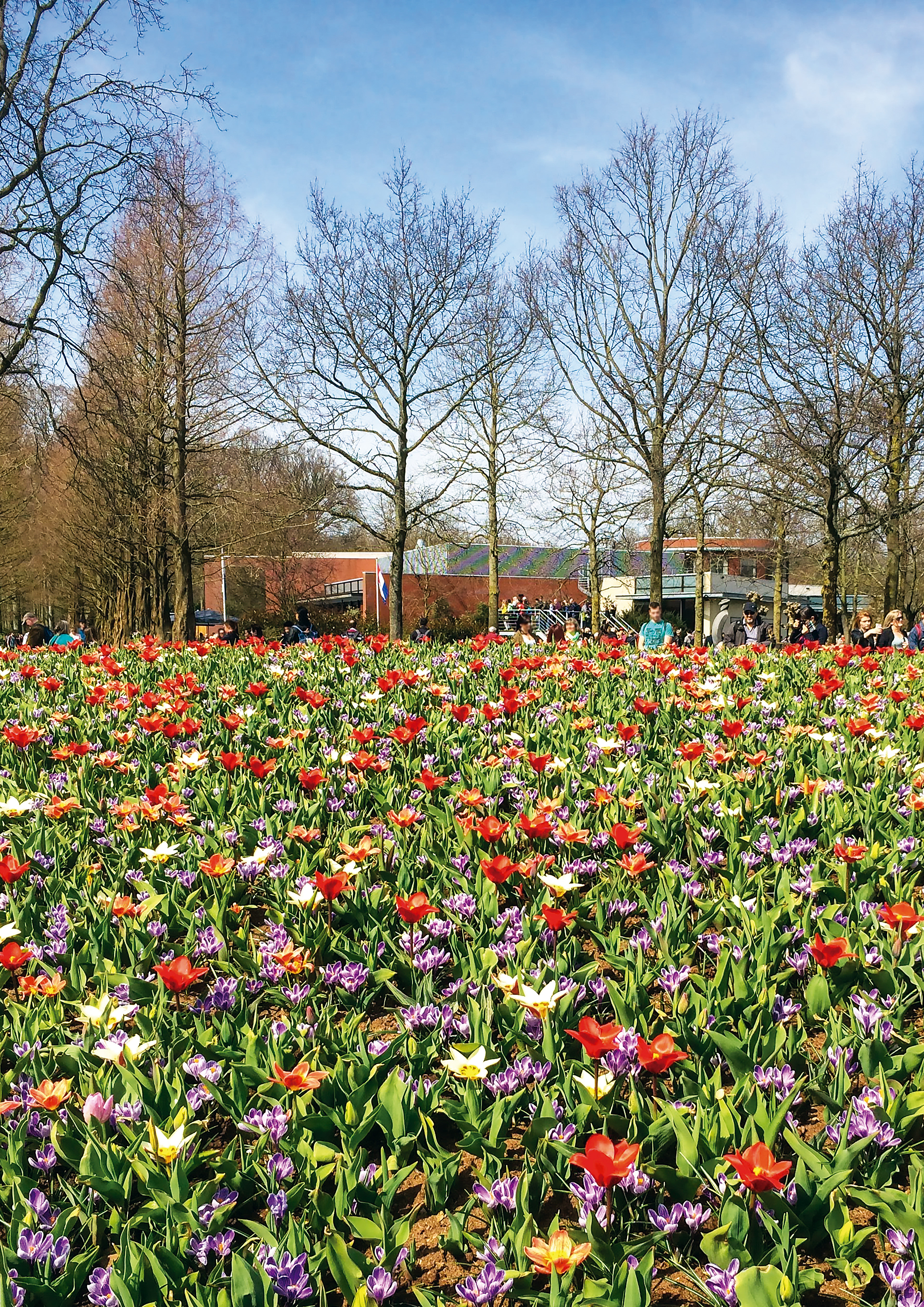 Jardins de Keukenhof - Lisse, Holanda - 2018