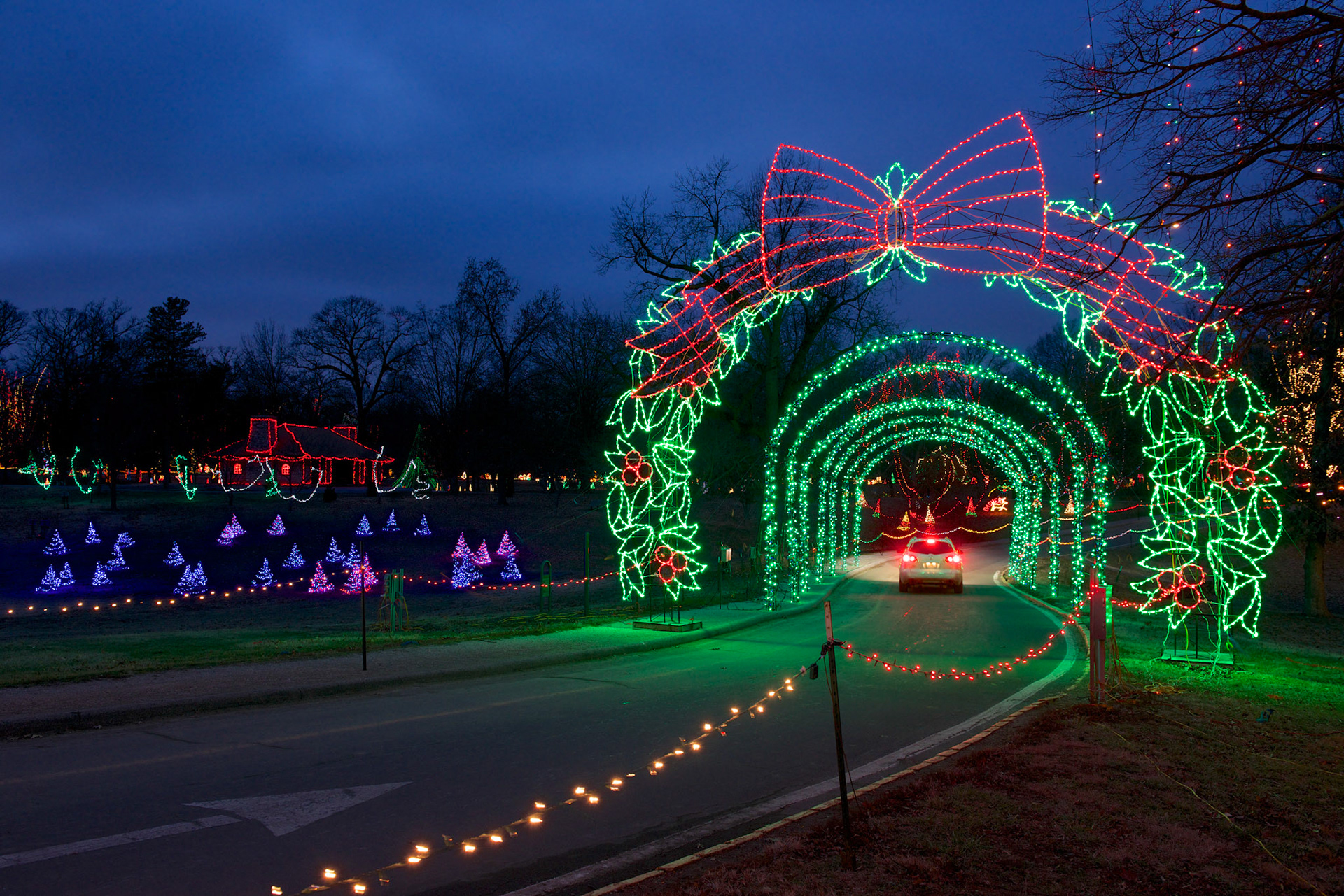 Holiday lights at Tilles Park in St. Louis on December 29, 2013.