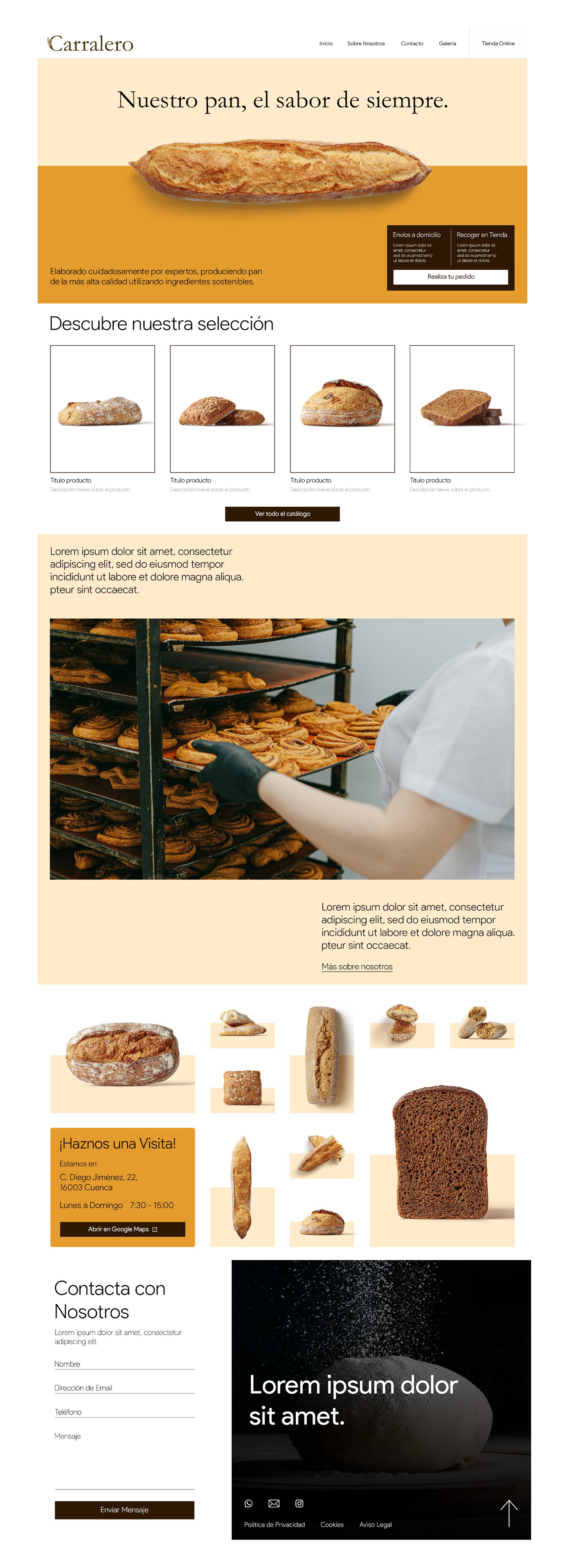 16. Imágen de la landing page