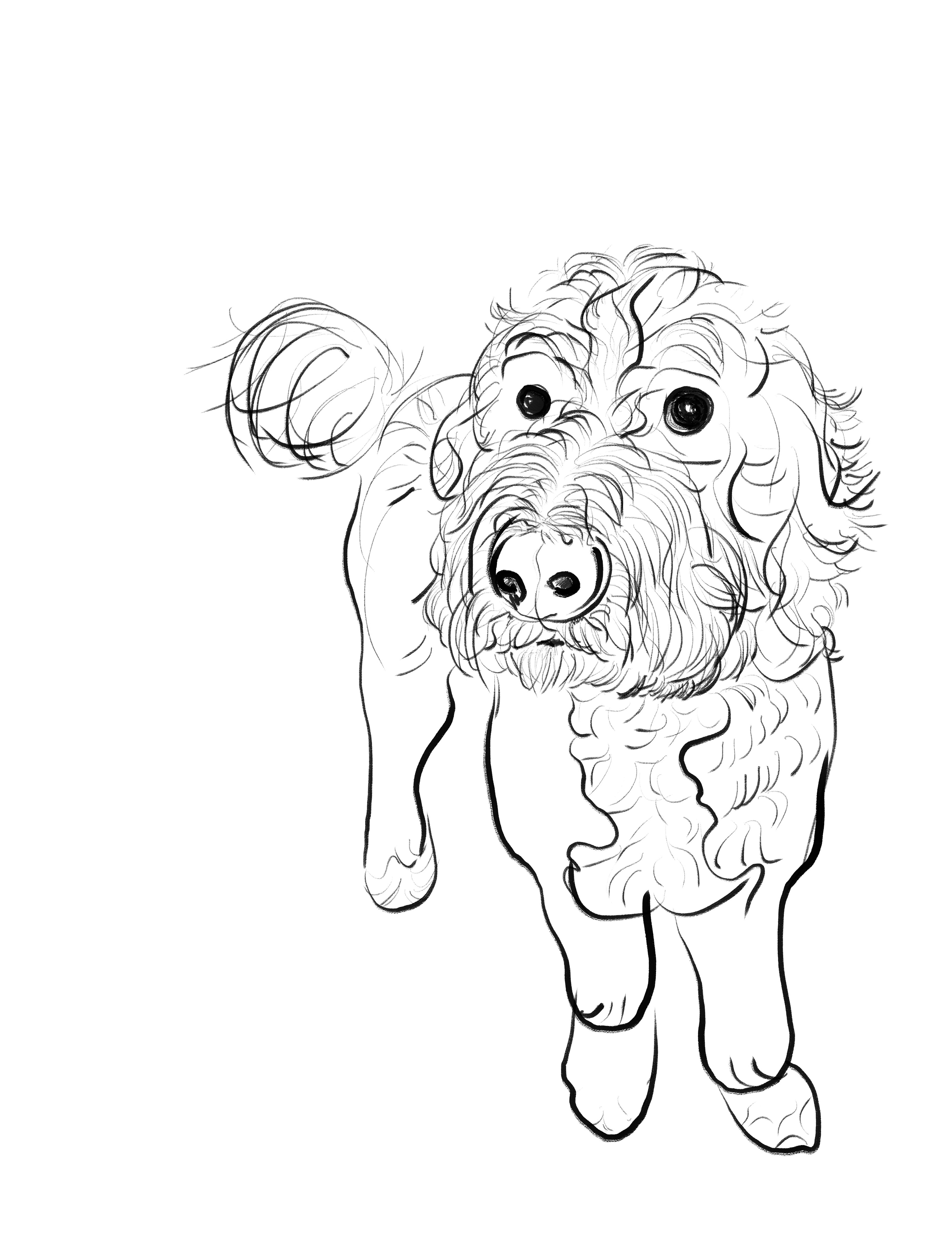 My dog, brought to life through hand-drawn illustration.