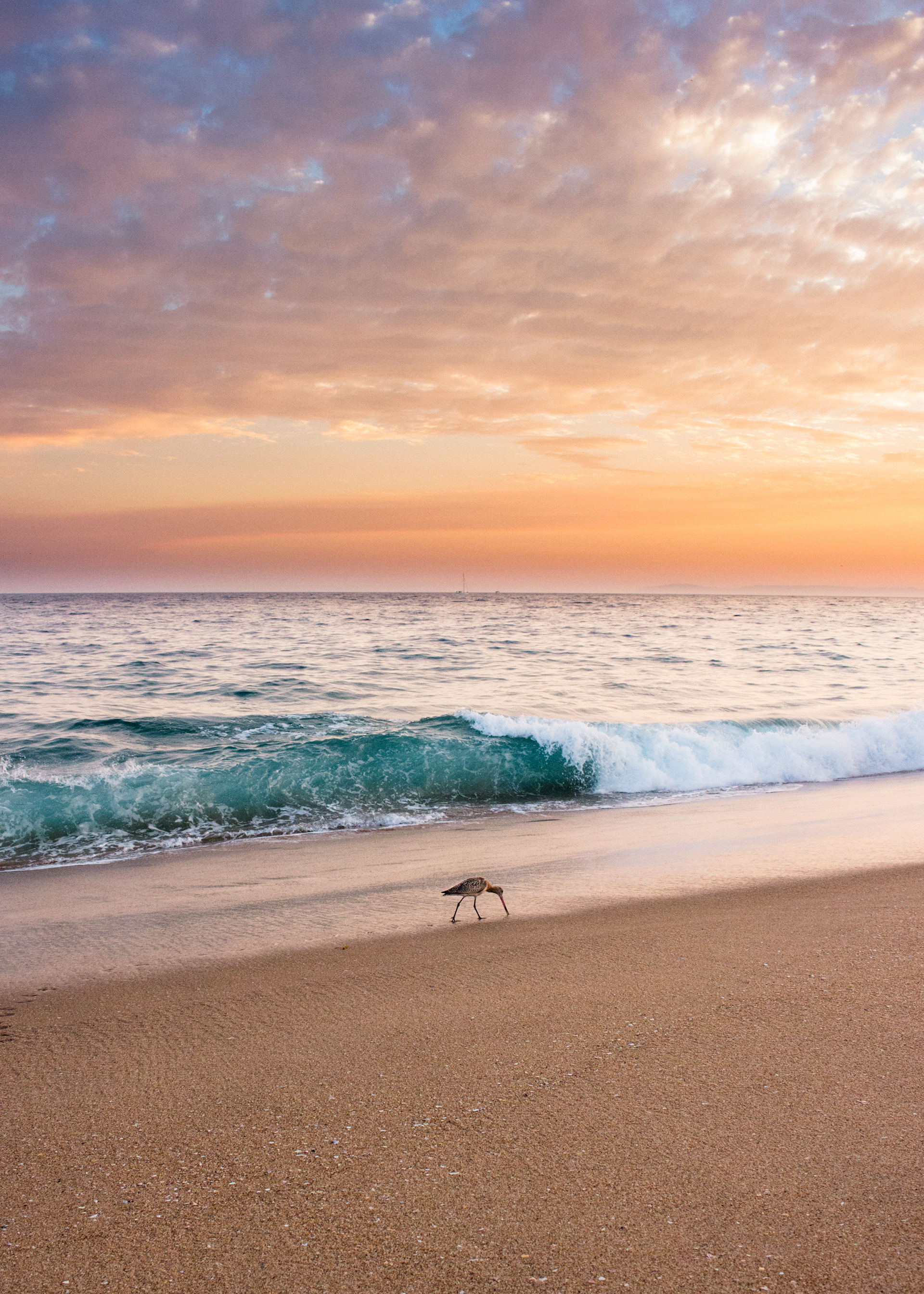 Sand by the Piper