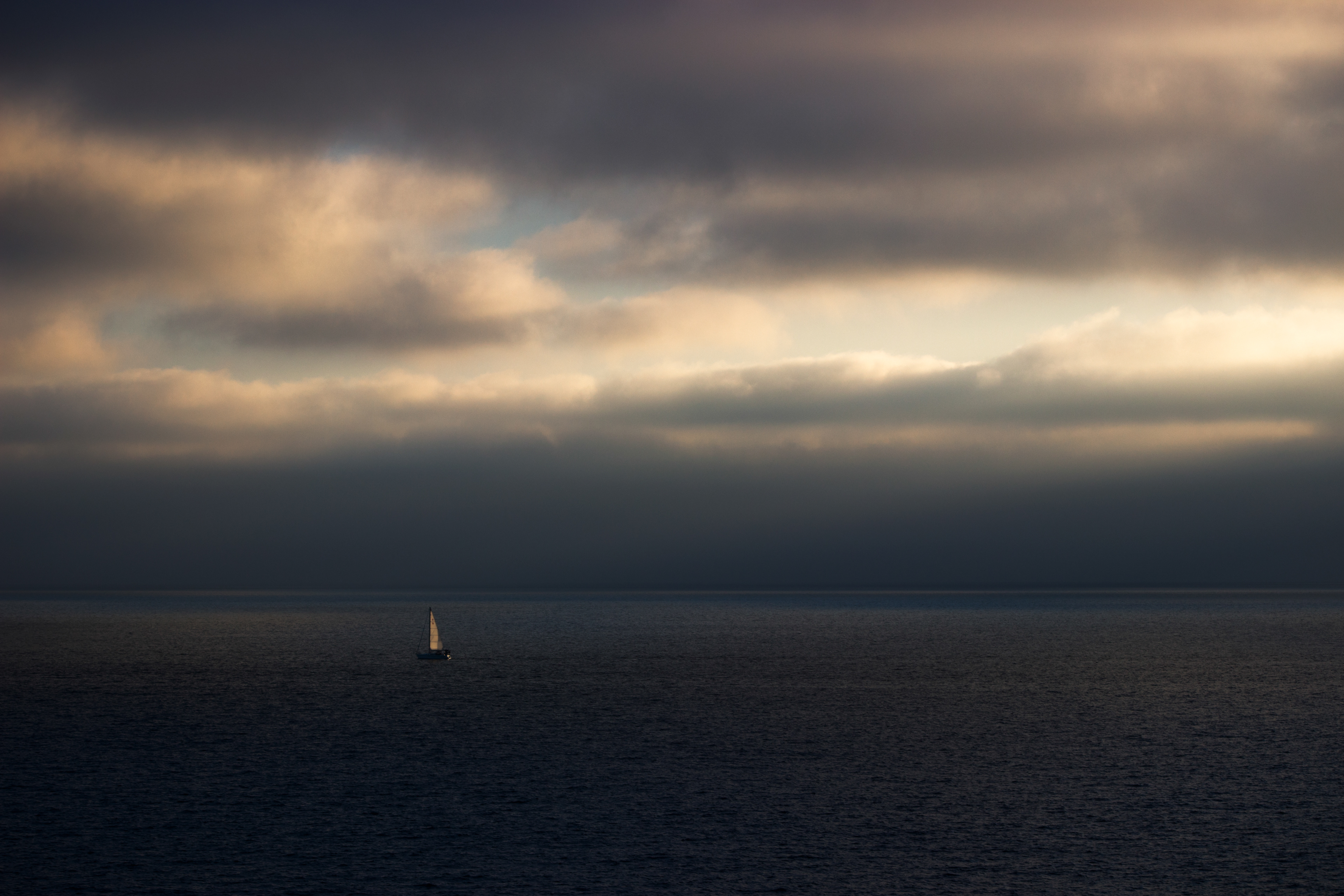 Sail the Rays