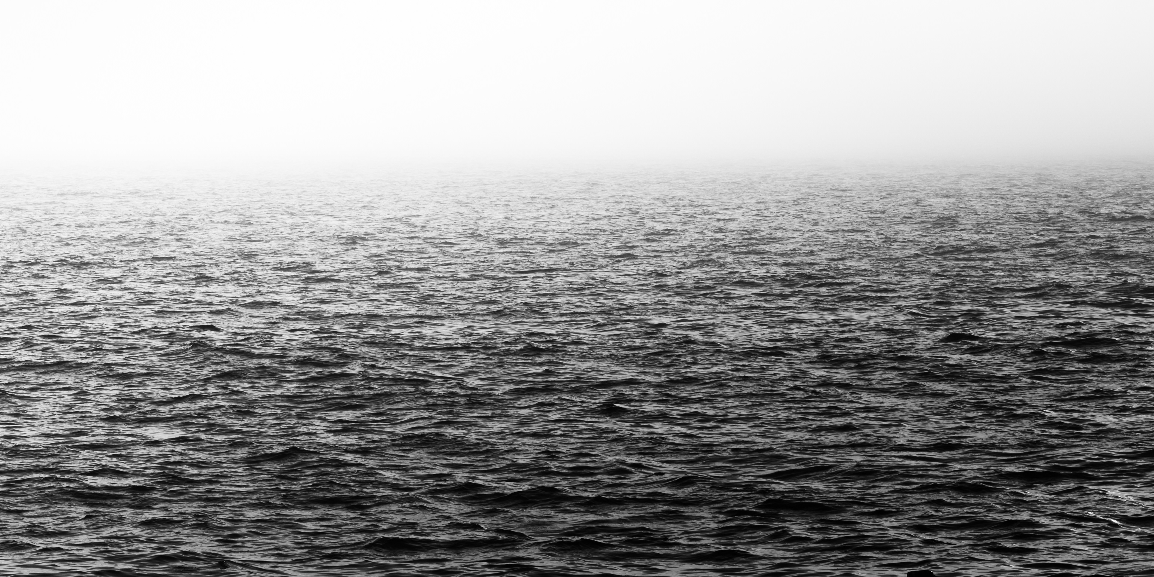 Lost in the Fog