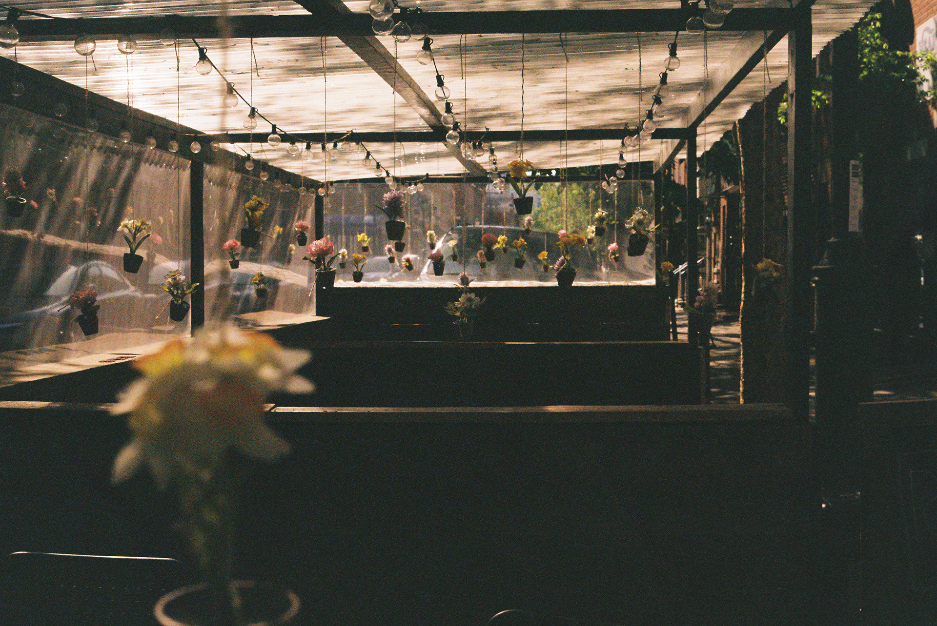 Kodak Gold 200