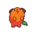Tangerine Dog dancin'