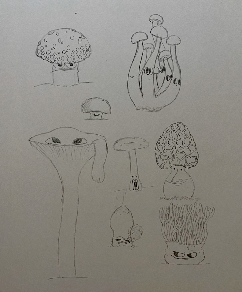 A Variety of Mushrooms (2022)