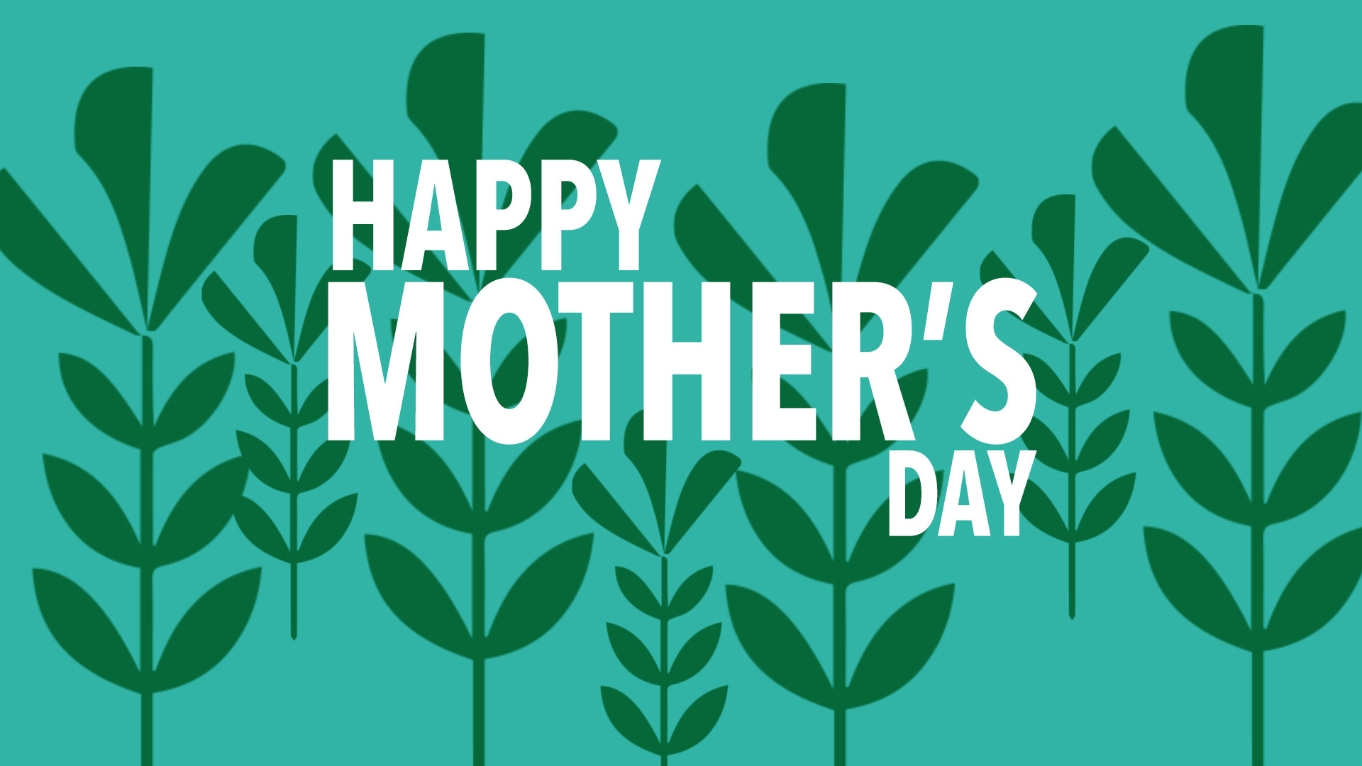 Give your Mom extra love (2020)