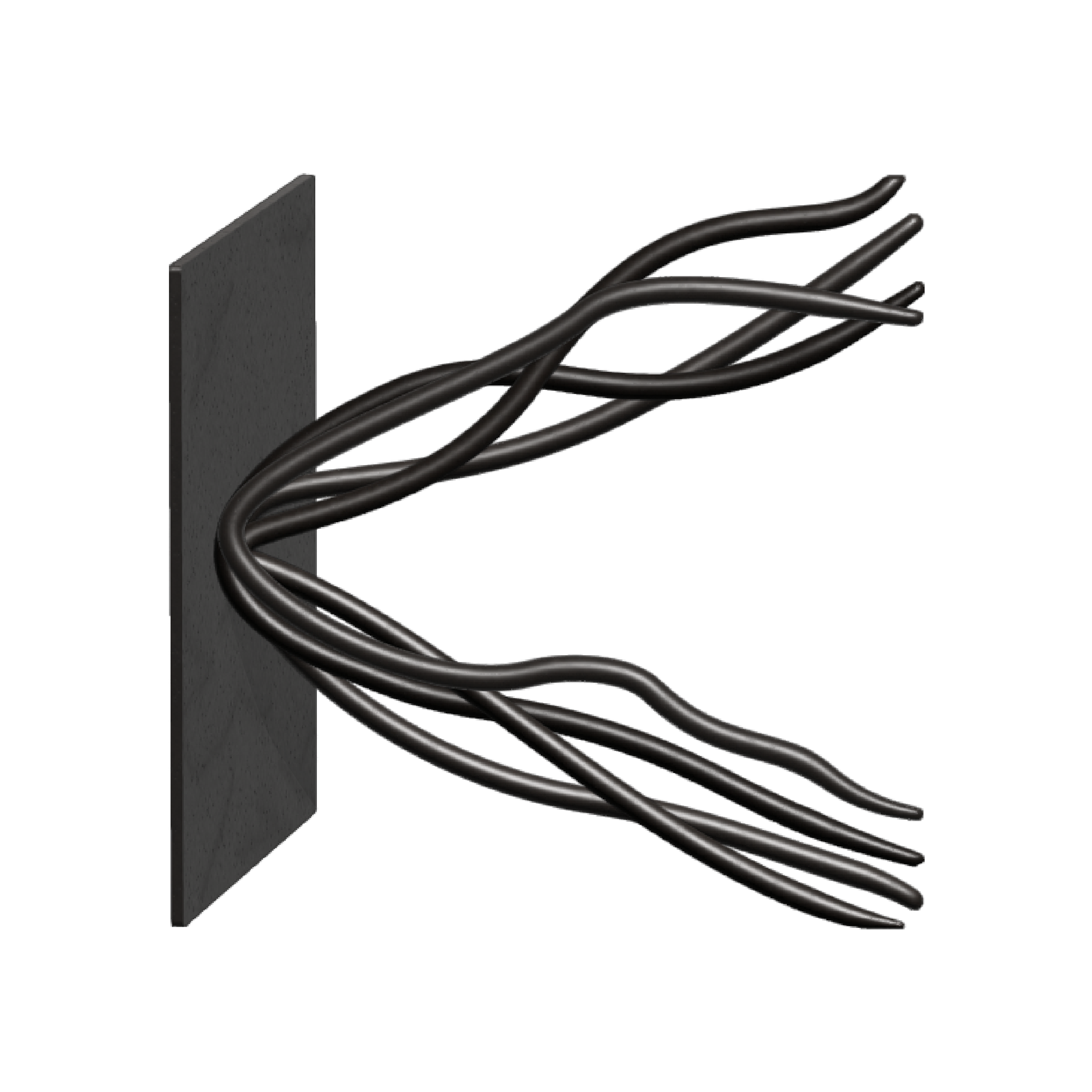 Kinetic Analysis Software