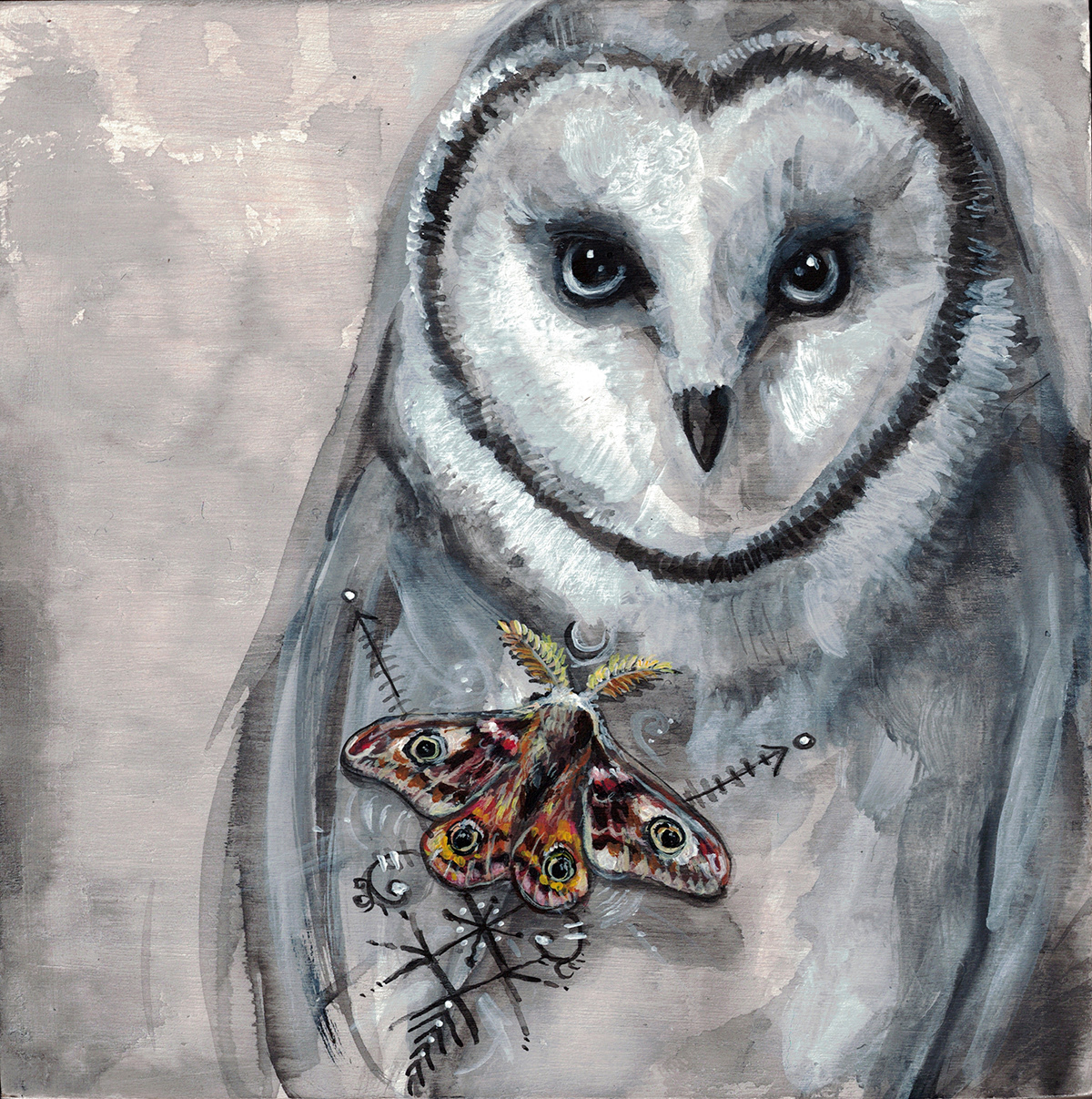 Owl + Moth