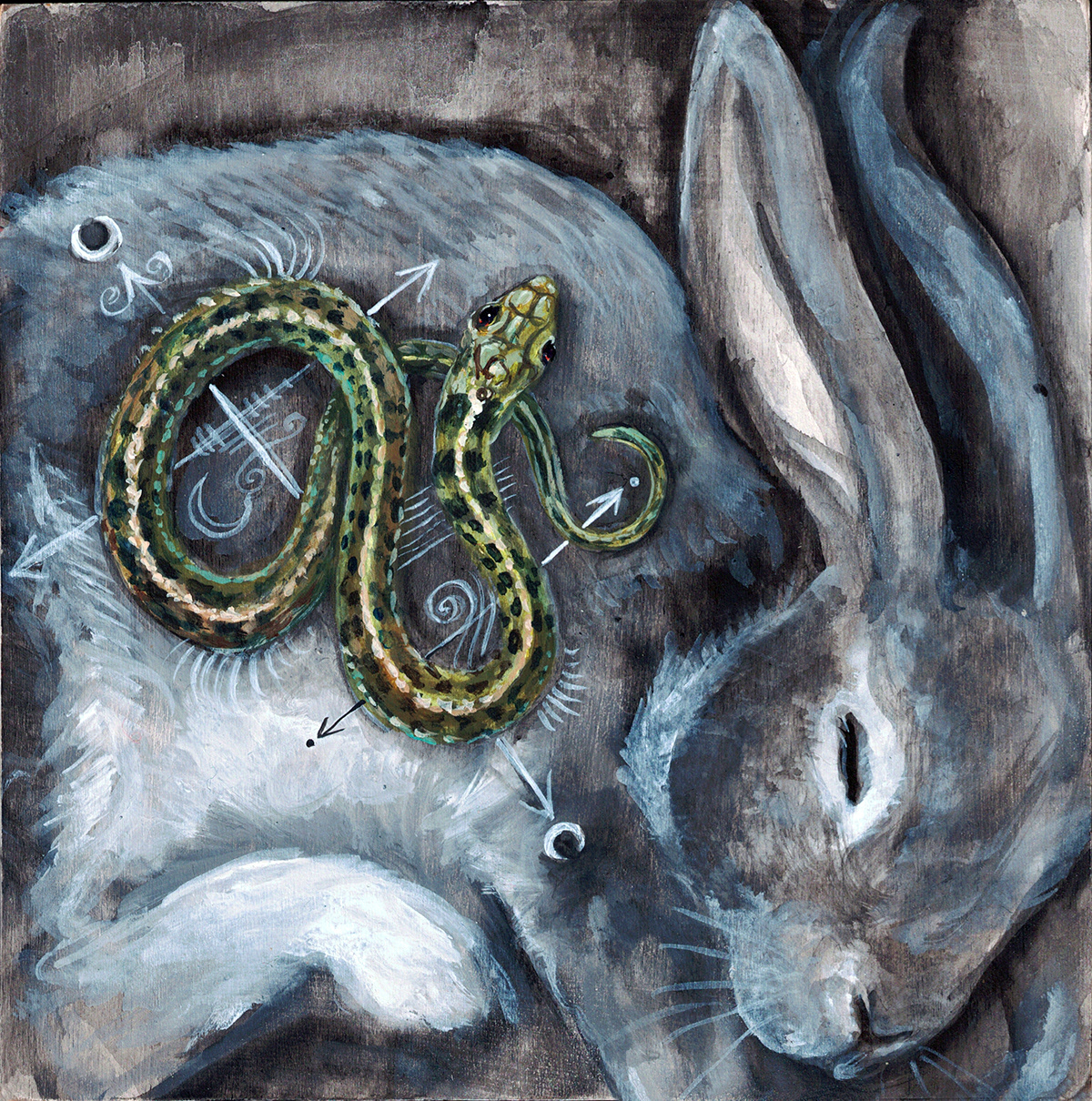 Hare + Serpent