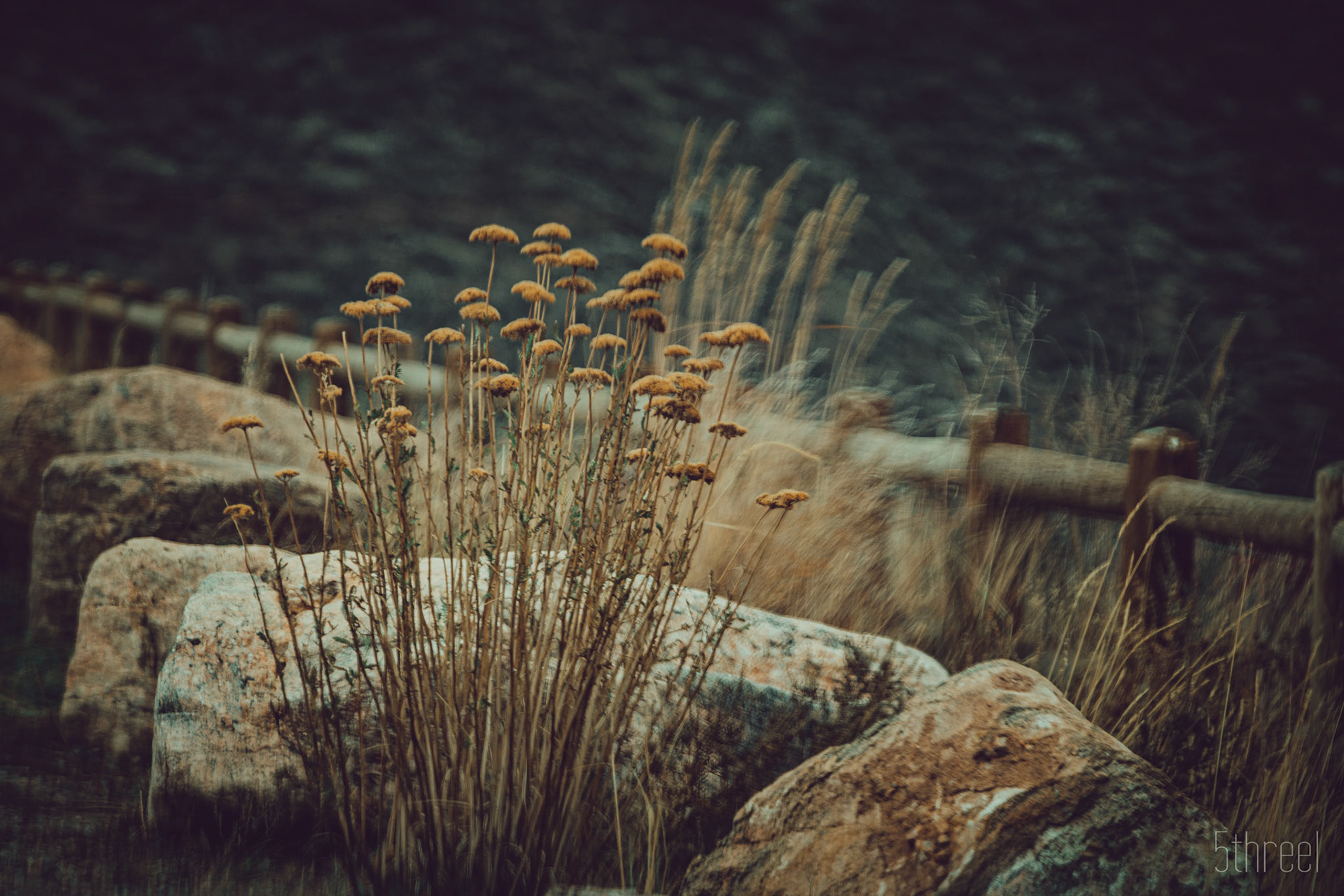 Red Rocks Amphitheater Colorado - November 2022