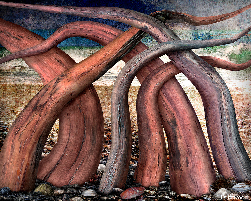 Abstract of driftwood arrangement