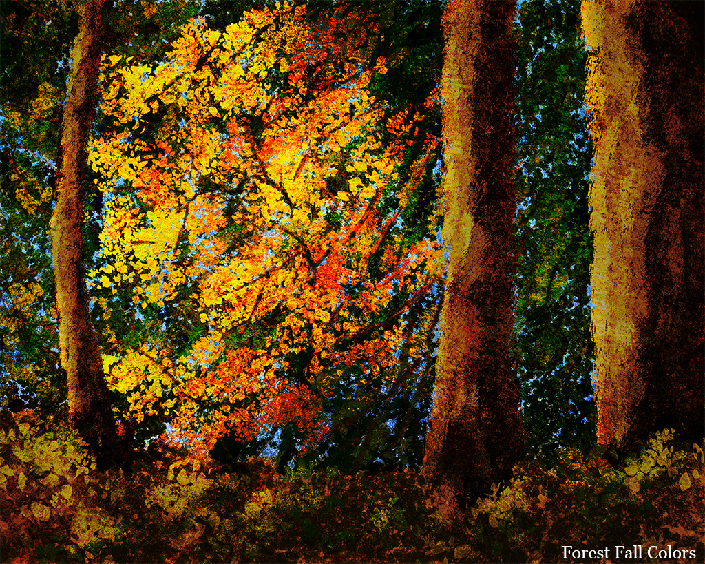Digital Painting, Forest Fall colors