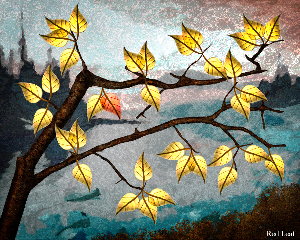 Fall image of a red leaf