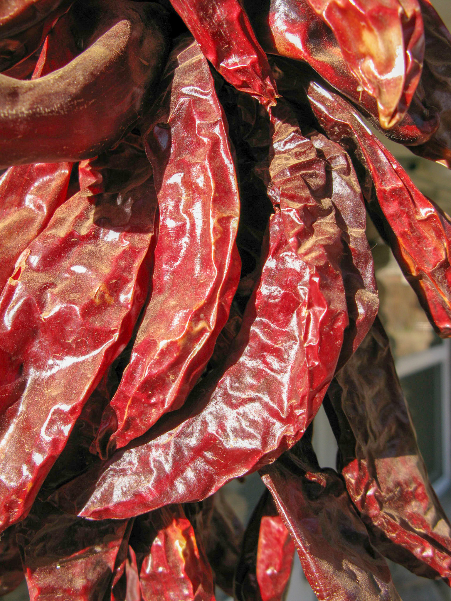 Scenic 118 Chilies hanging in Yarnell