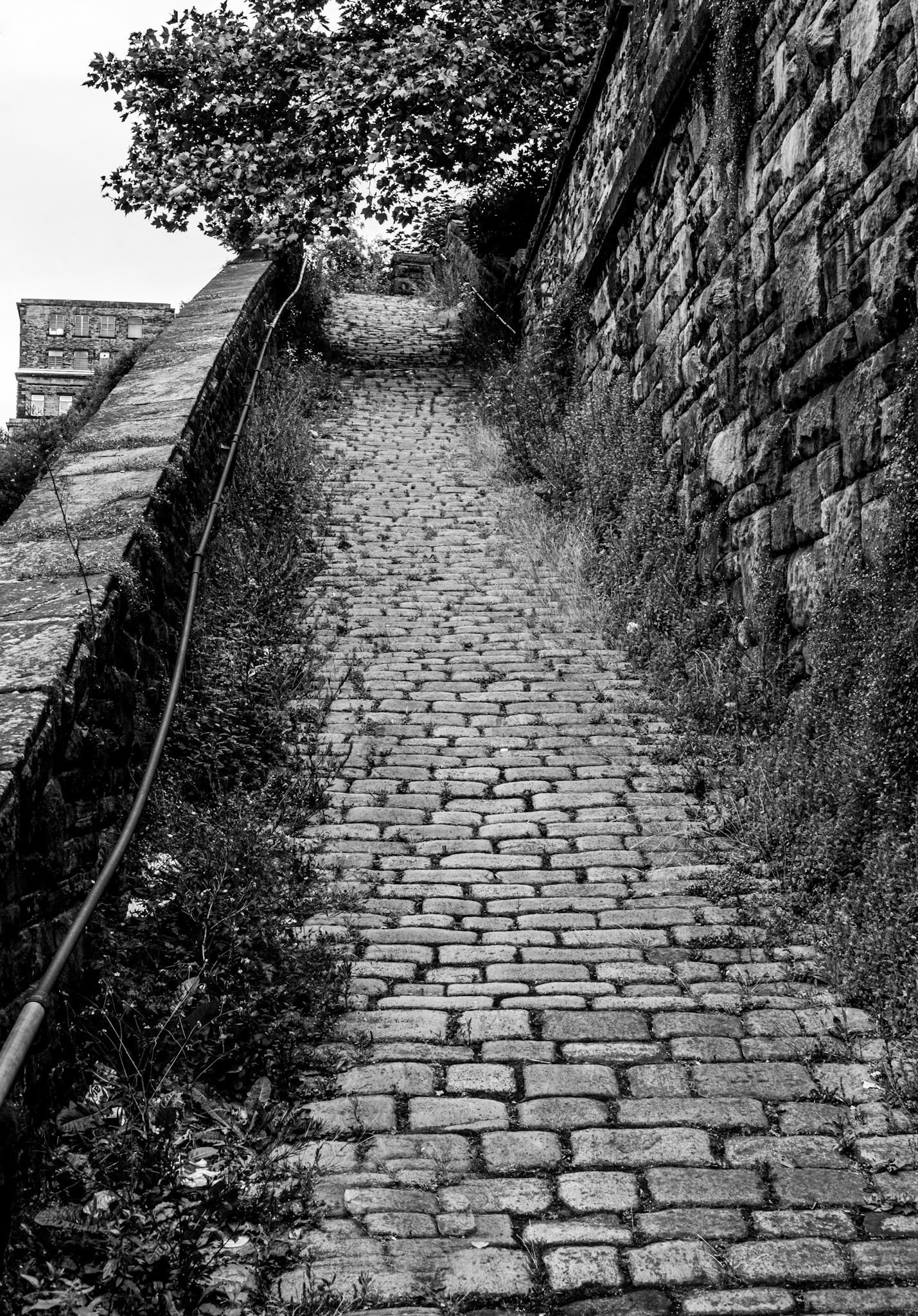 Bill Brandt's snicket