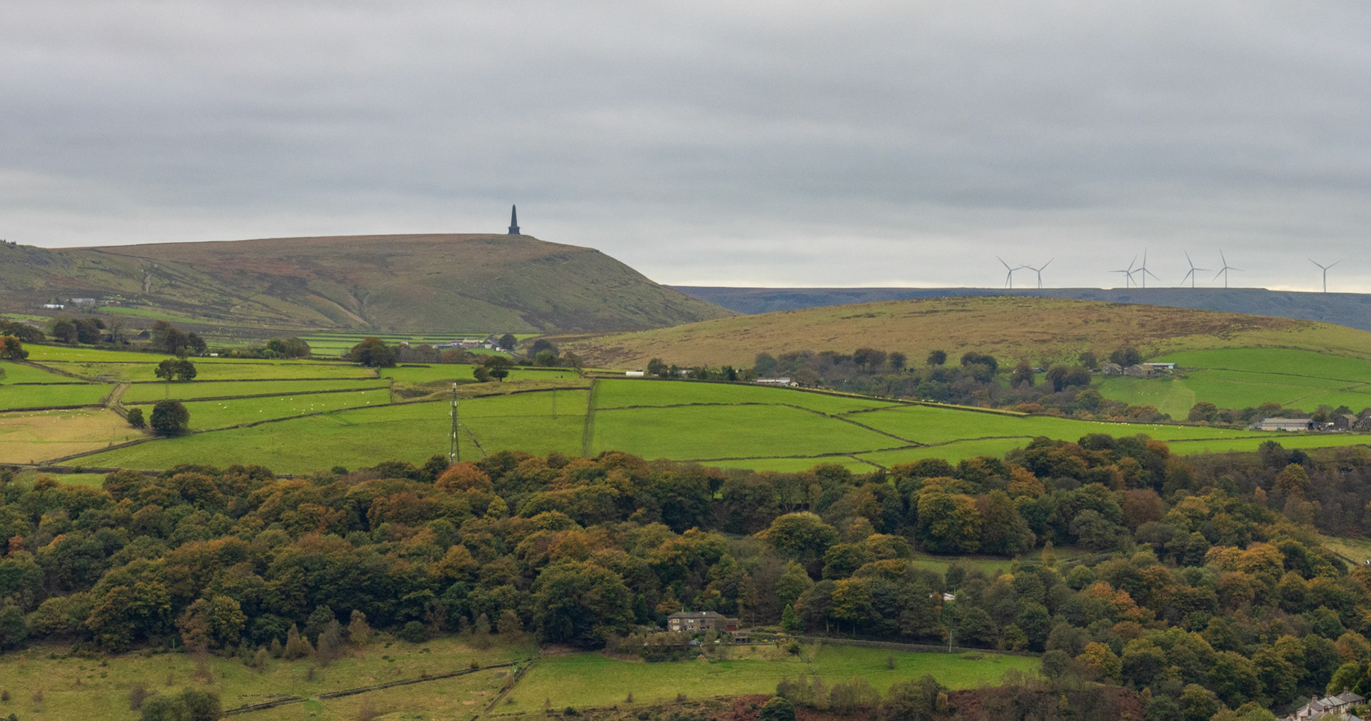 View from Phase 1