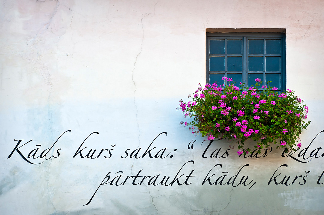 Window in the streets of Riga. 